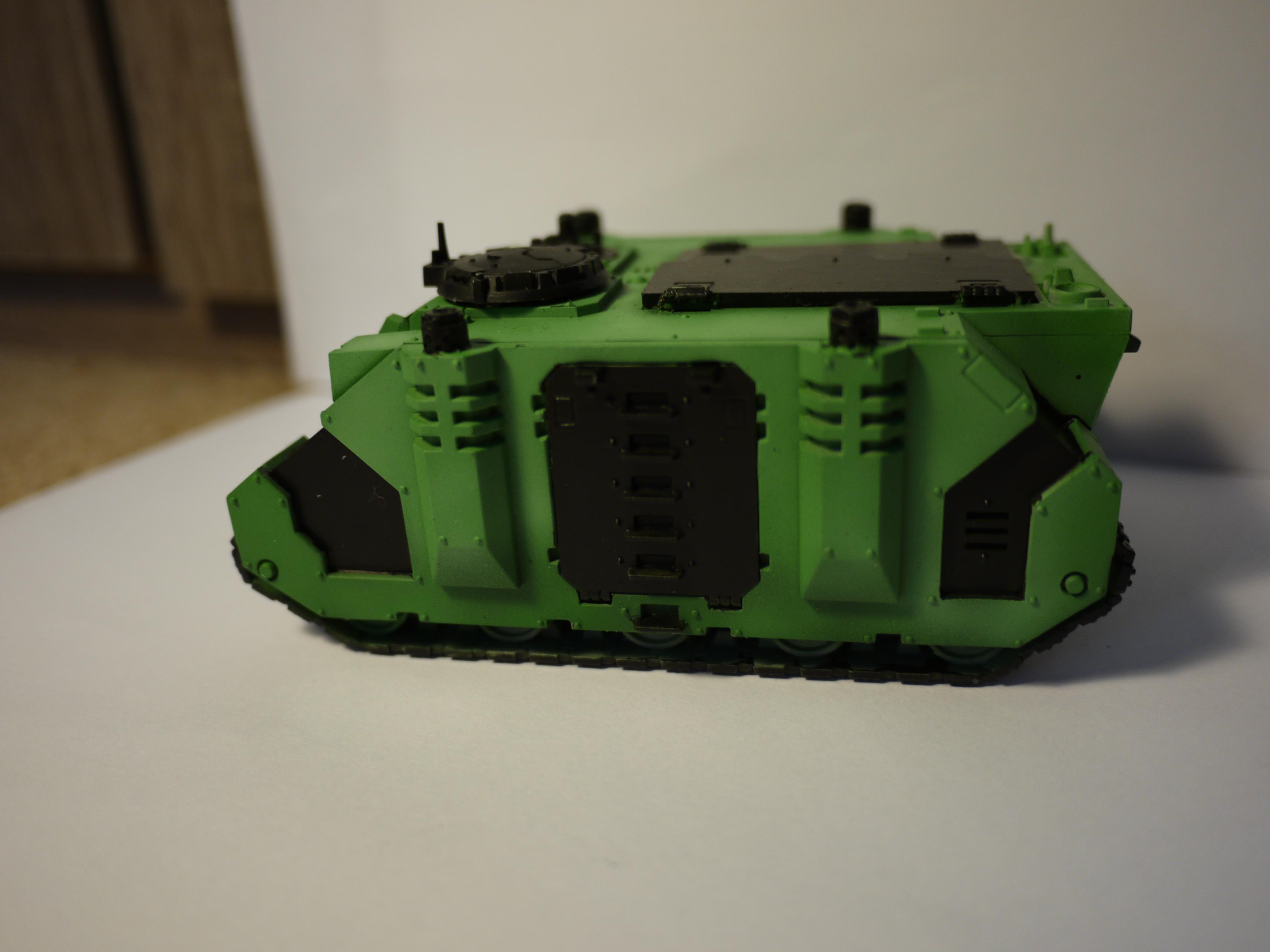 Rhino, Salamanders