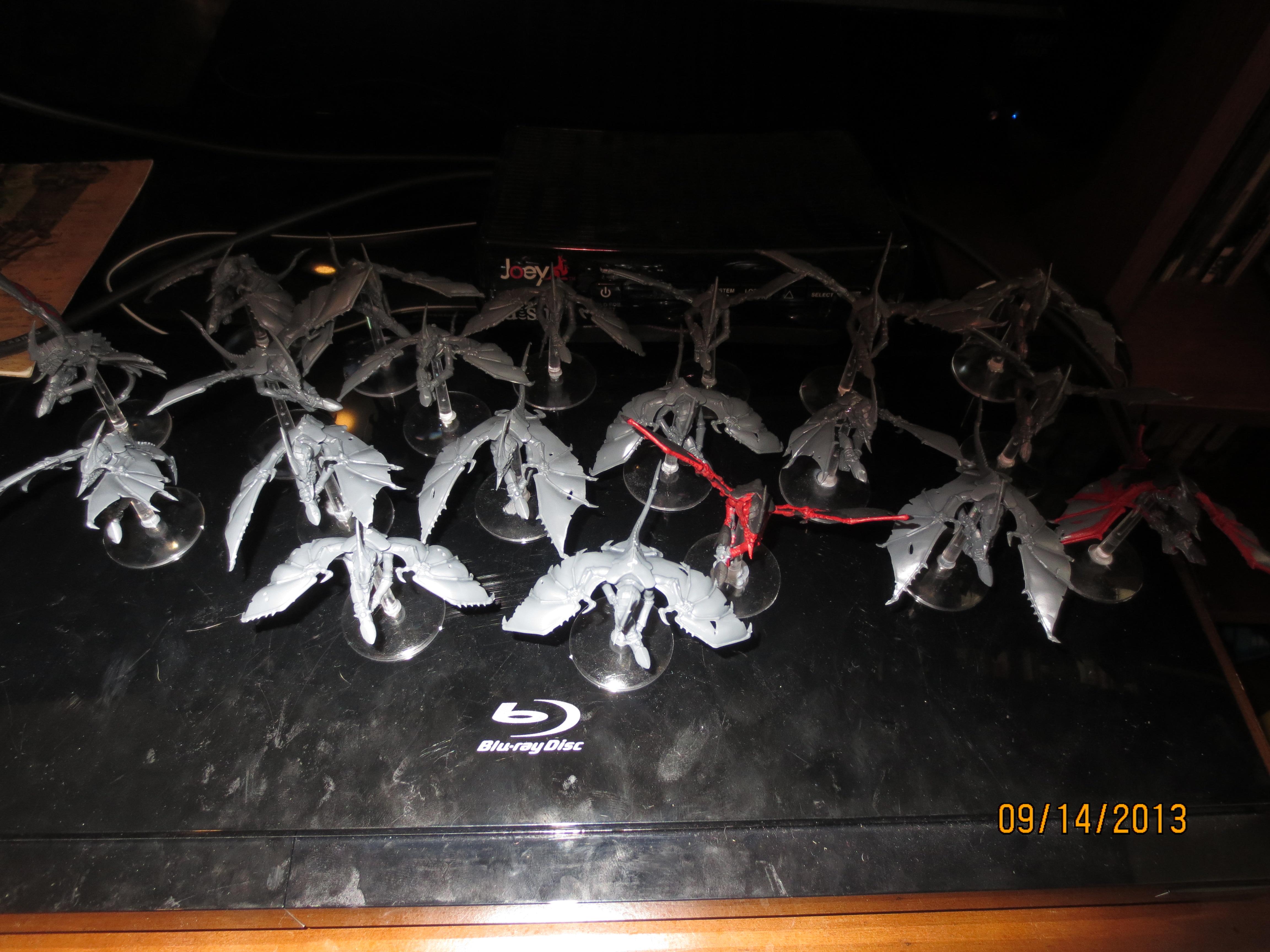 I don't know if you can see all of them, the picture  is really dim