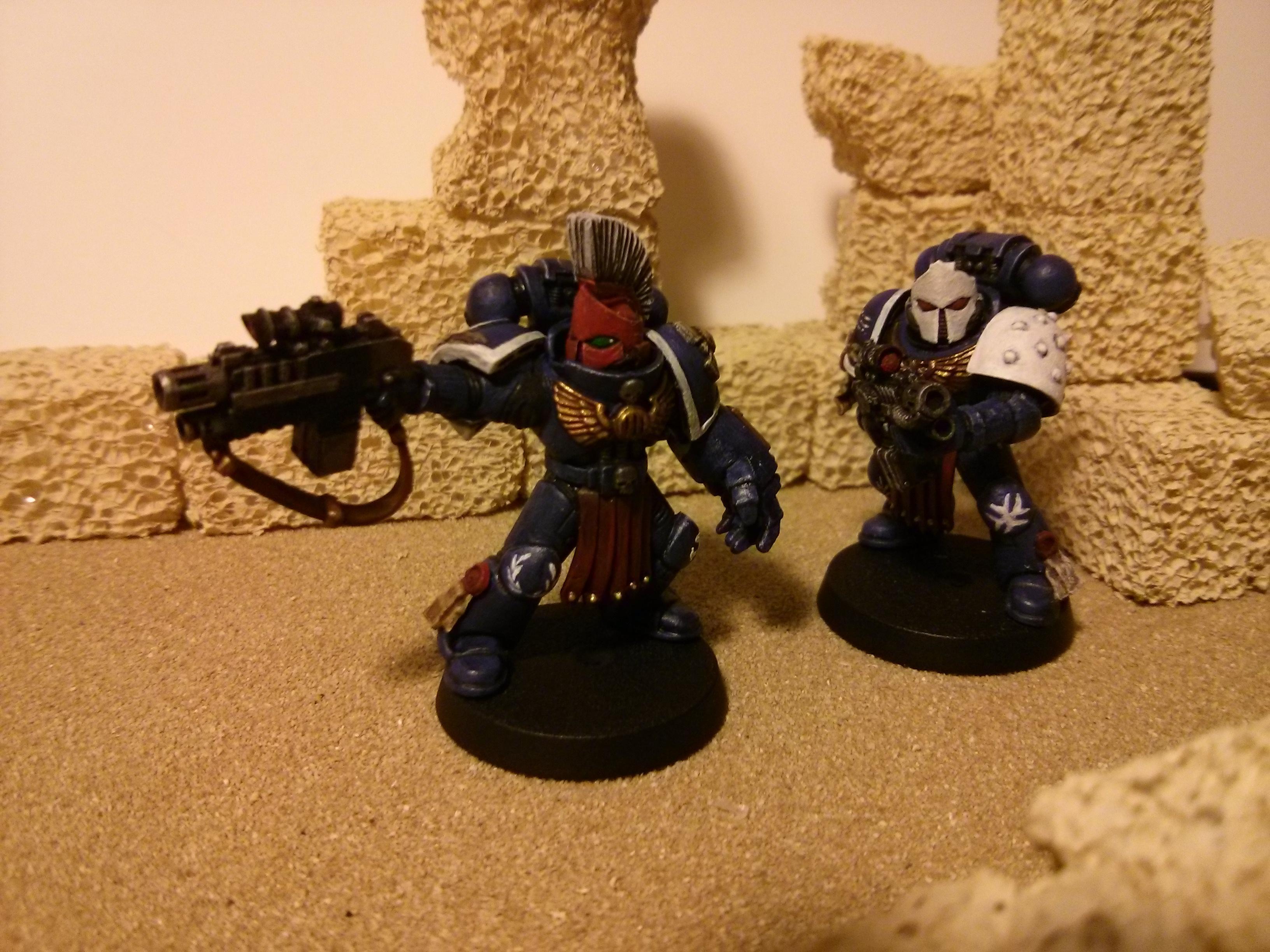 sternguard