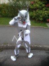 One of the kids in the Wolf cub costume