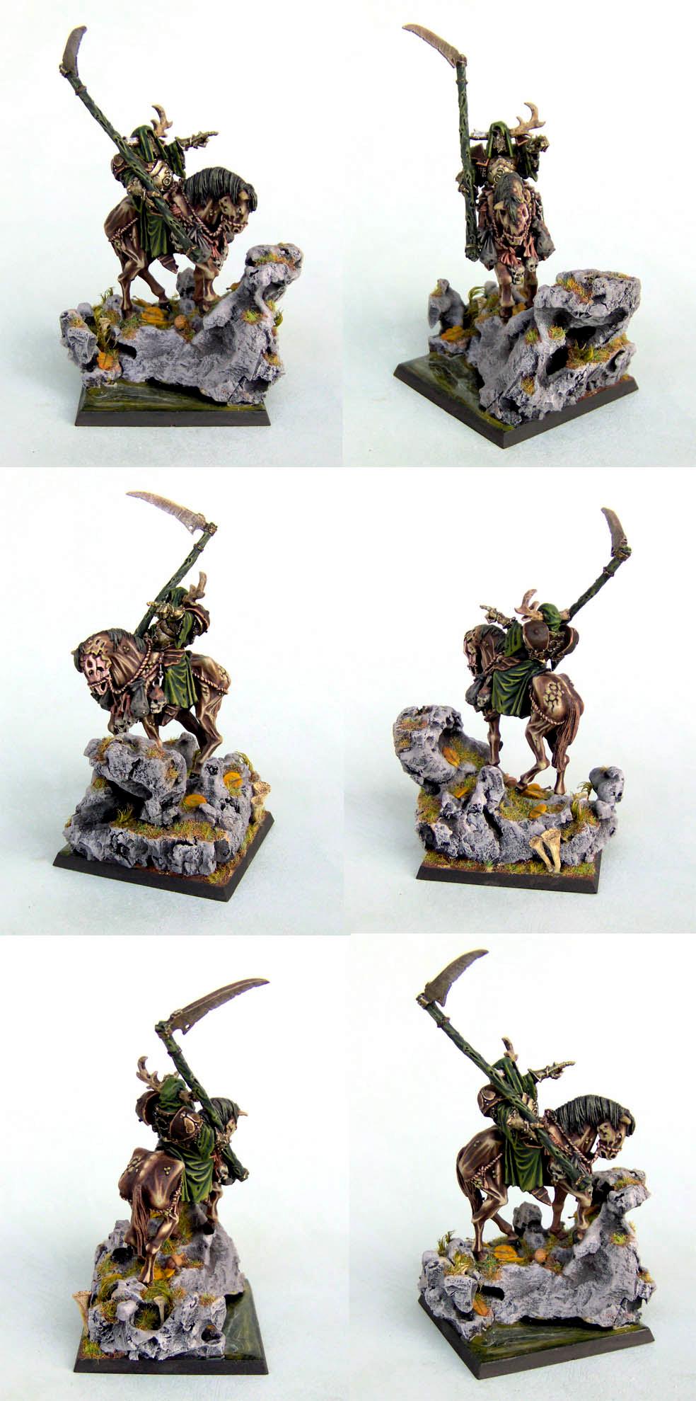 Chaos Lord, Nurgle, Nurgle lord
