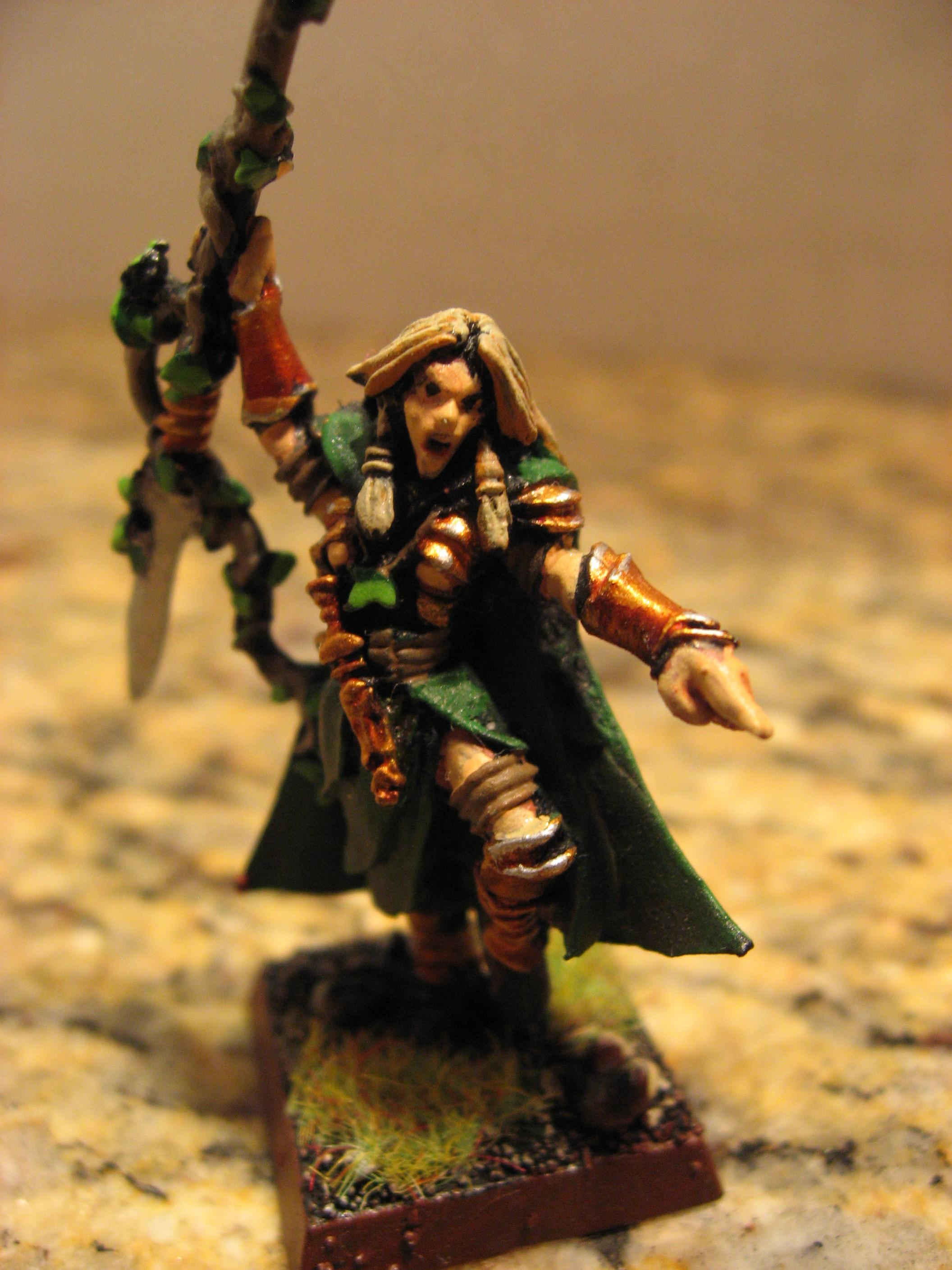 Wood Elf Eternal Guard Commander