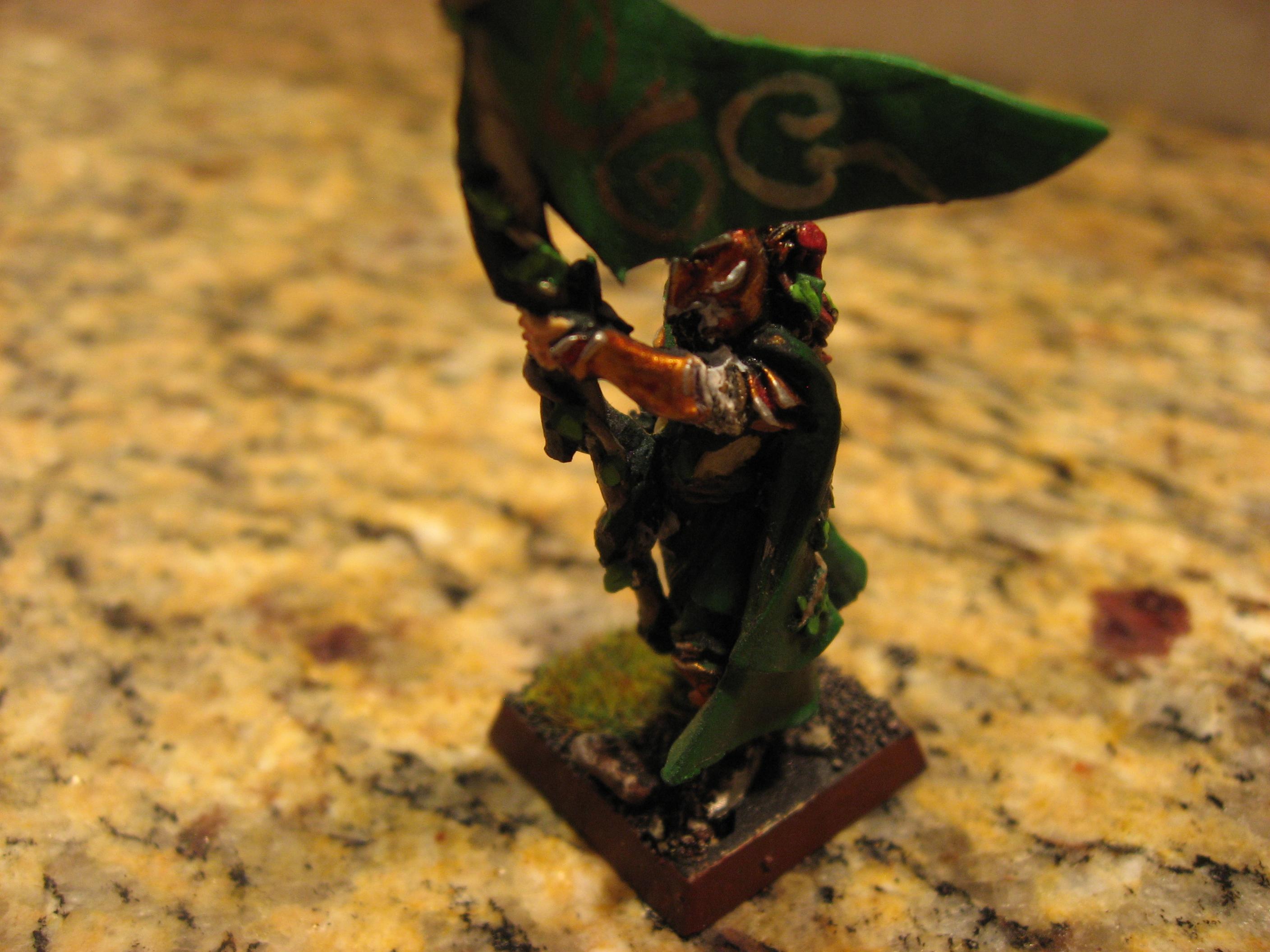 Wood Elf Eternal Guard Bannerman