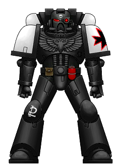 Space Marines, Black templar
