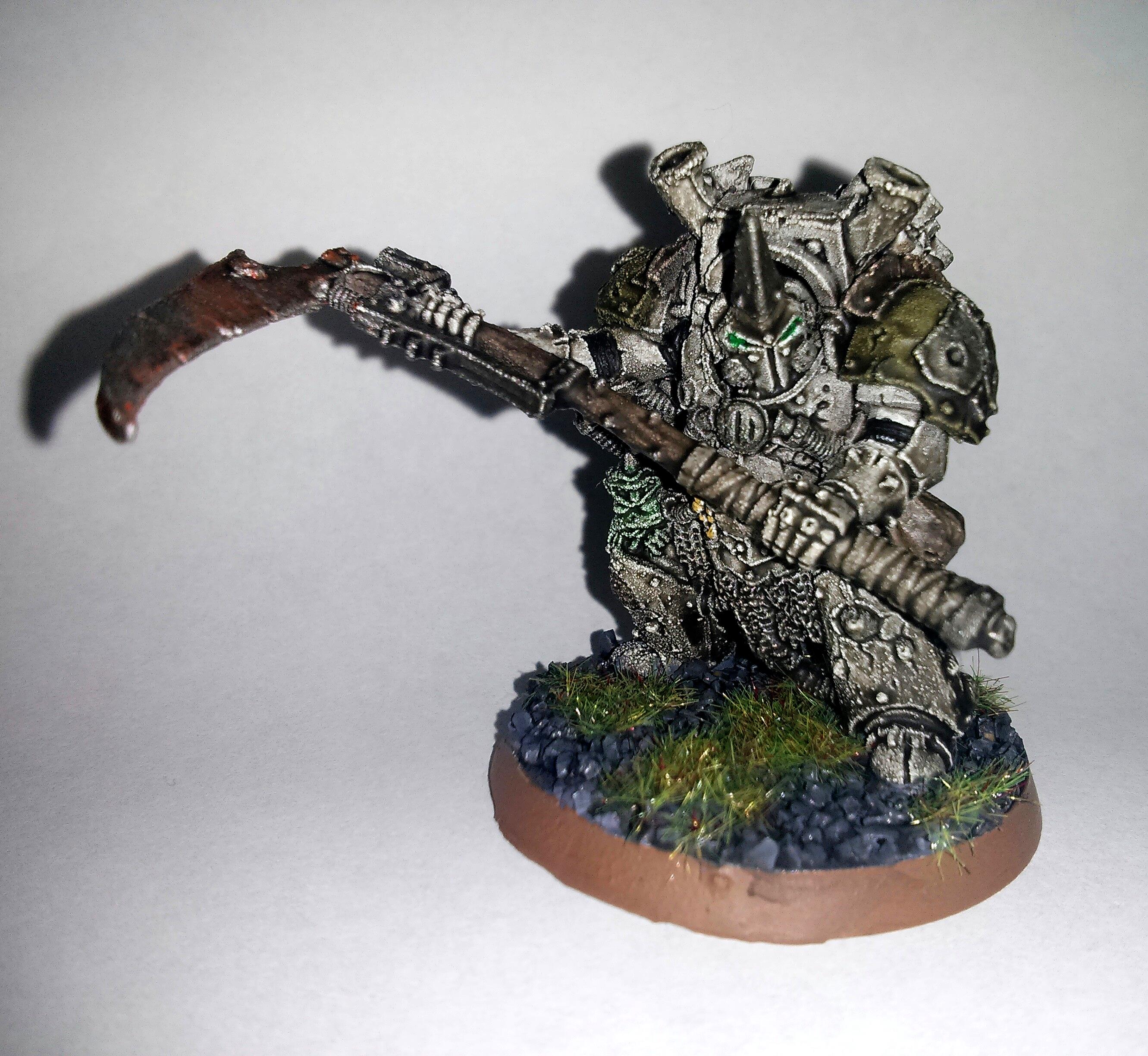 Typhus