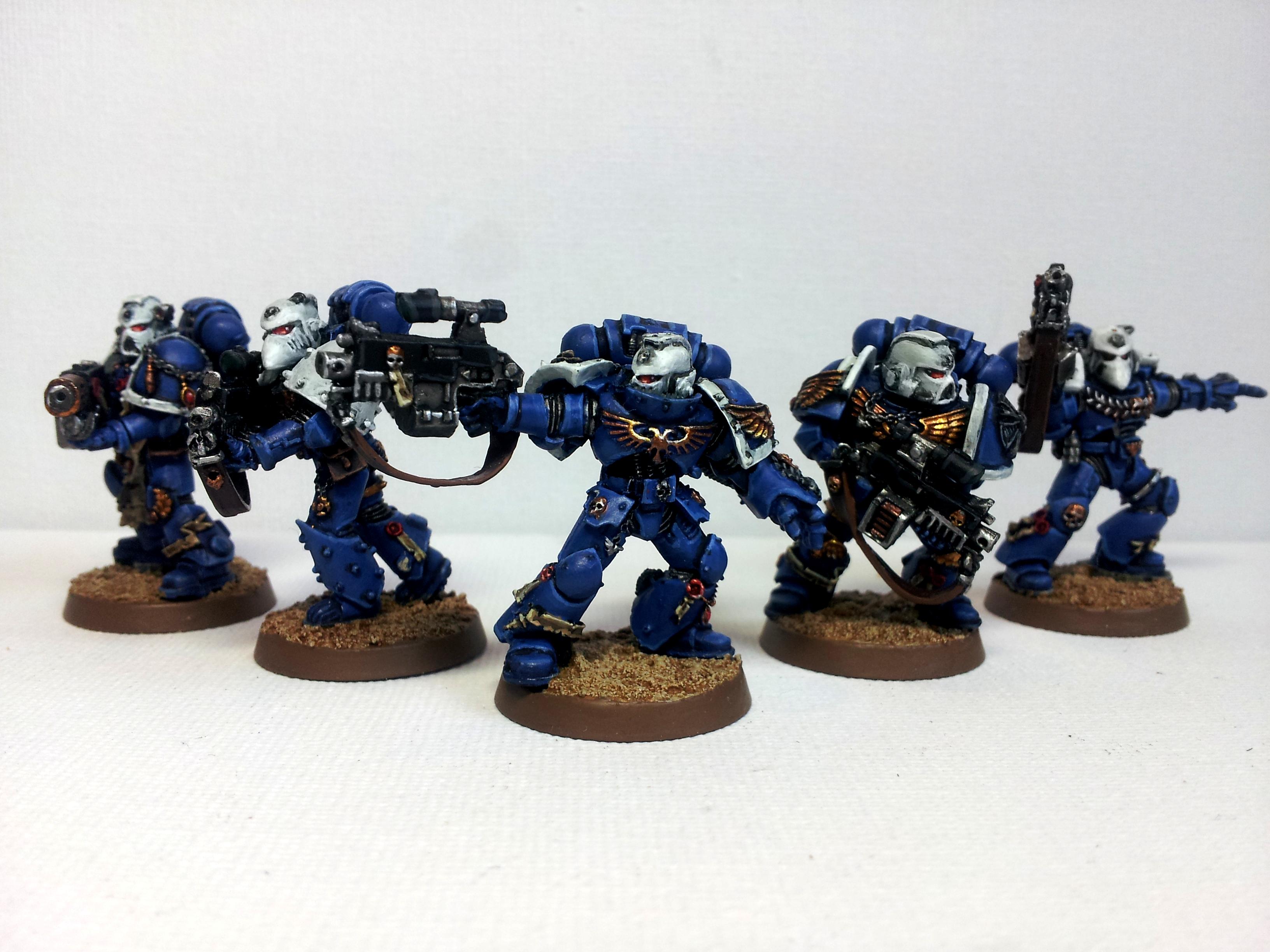 Ultramarines Sternguard - Ultramarines Sternguard - Gallery - DakkaDakka