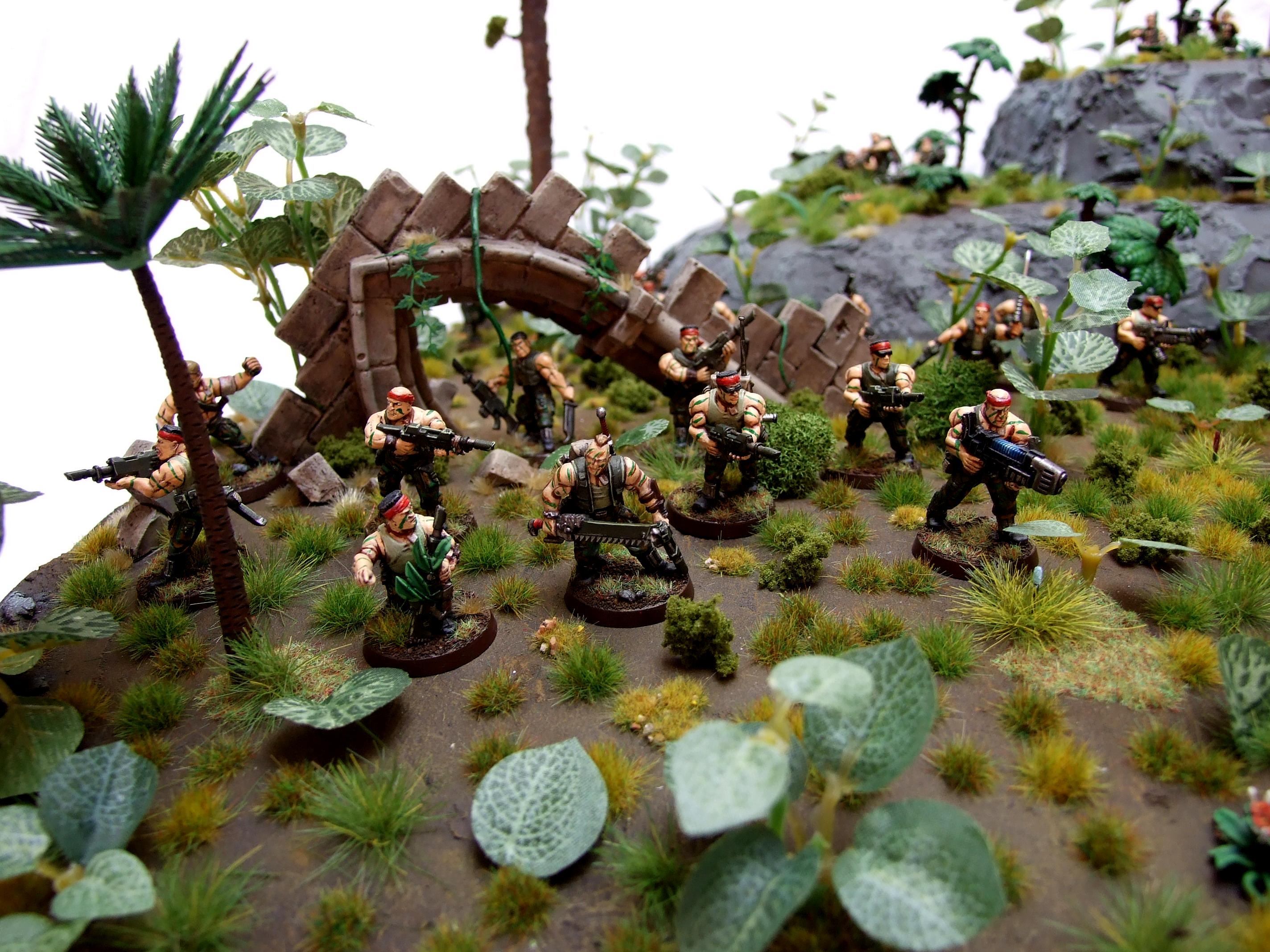 2013, Aop, Armies On Parade, Catachan, Imperial Guard, Jungle, Jungle Fighter, Jungle Scenery, Warhammer 40,000, Winner