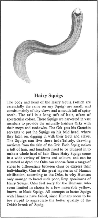 Hair Squig