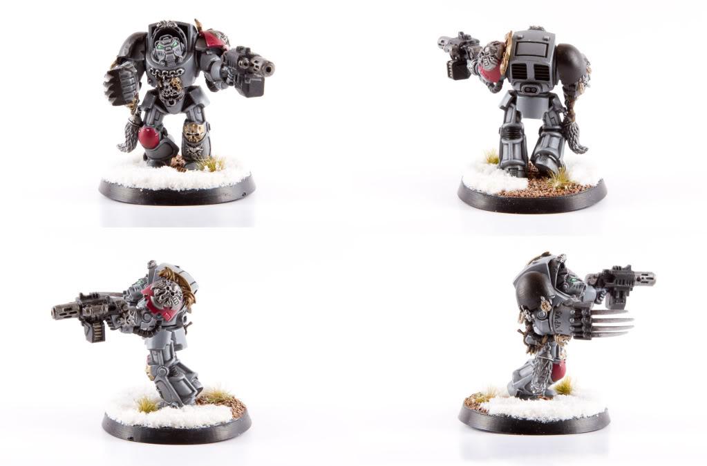 Space Wolf Terminator, Space Wolves, Wolf Guard, Wolf Guard Terminator
