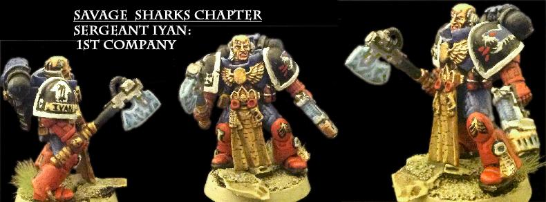 Chapter, Imperial Guard, Savage, Sharks, Warhammer 40,000, Warhammer Fantasy