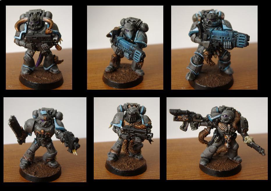 Dark Wolves, Grey Hunters, Skyrar's Dark Wolves, Space Wolves