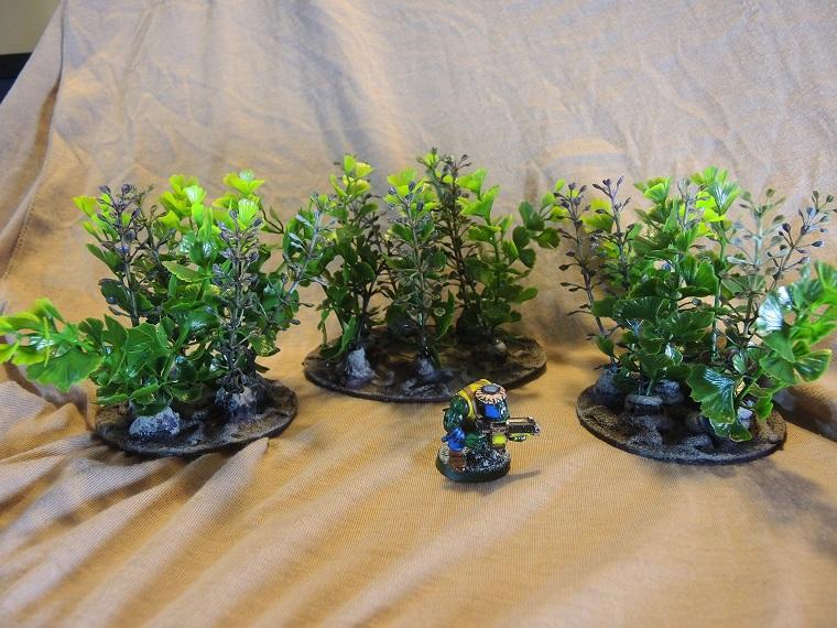 Jungles, Scratch Build, Terrain