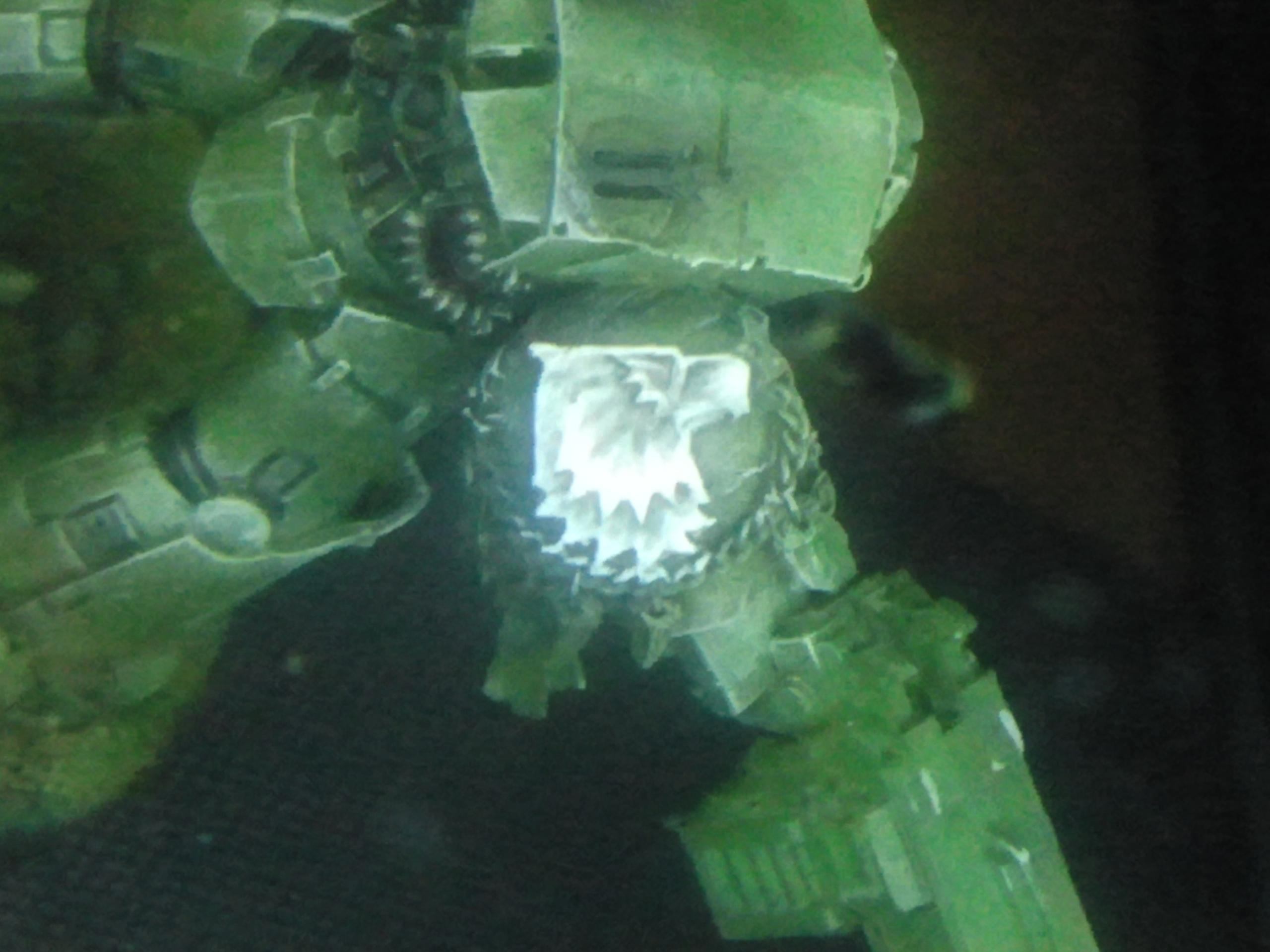 Forge World, Raptors, Space Marines, Swamp