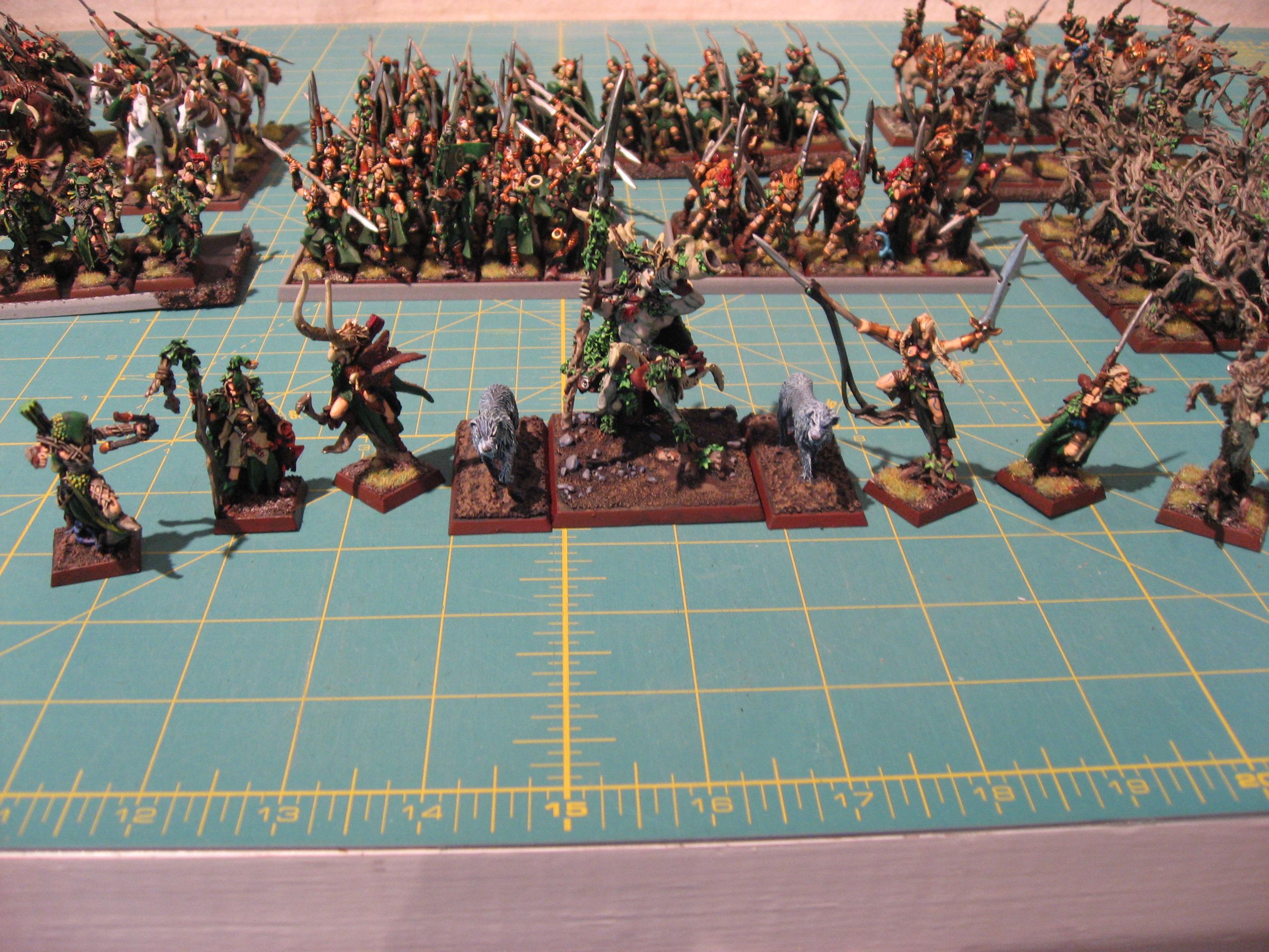 Wood Elf Army6