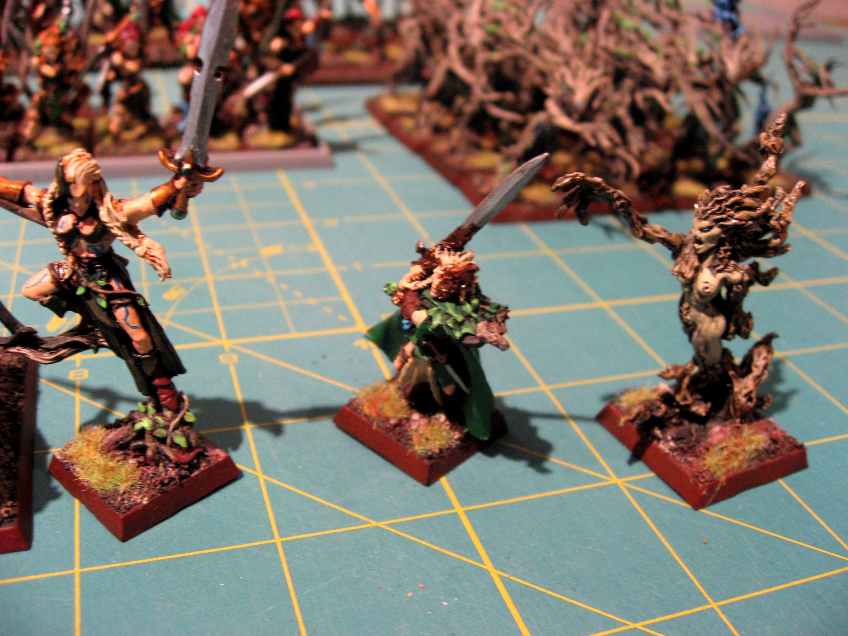 Wood Elf Commanders