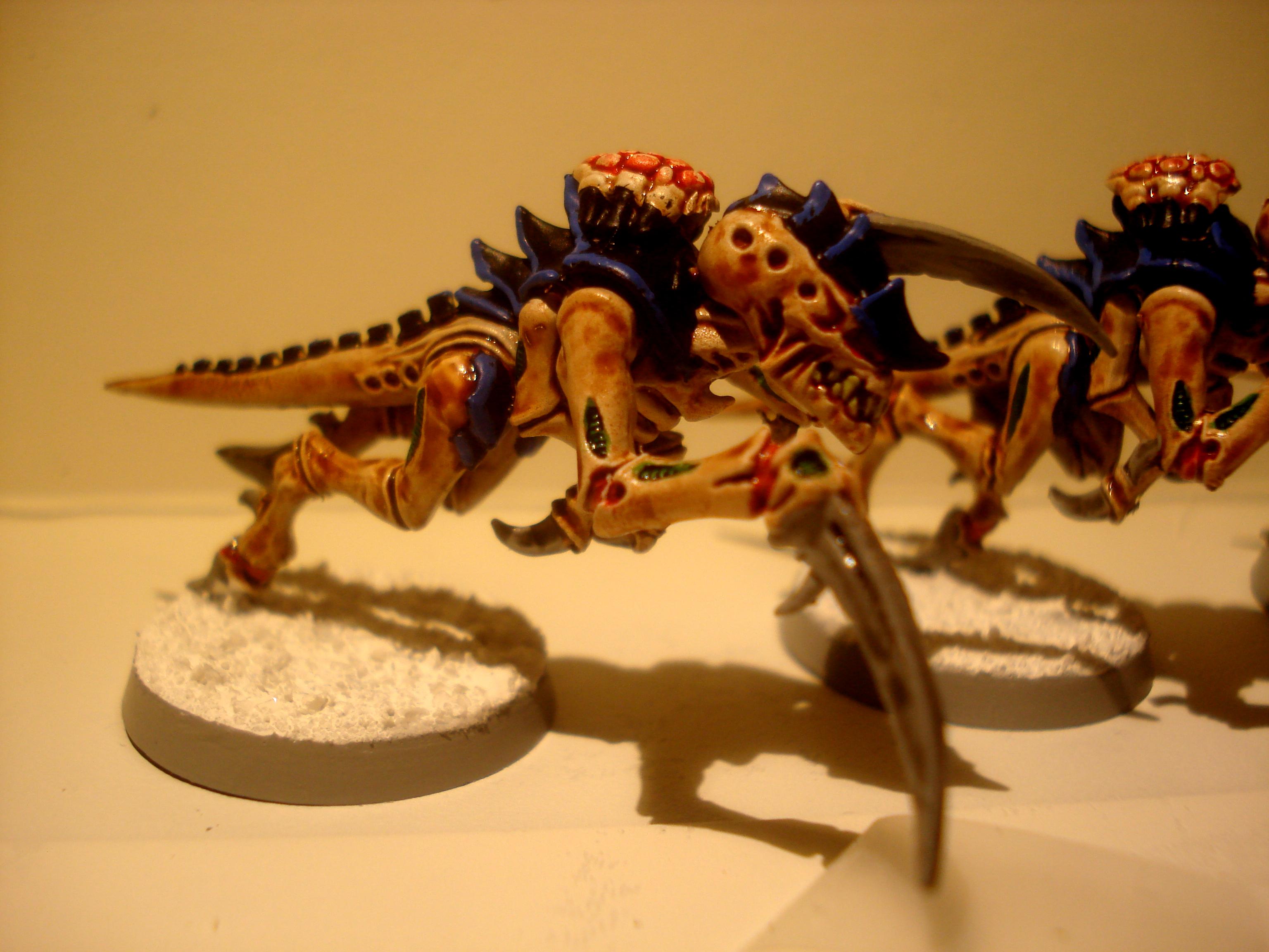 Tyranid Hormagaunts, Tyranids