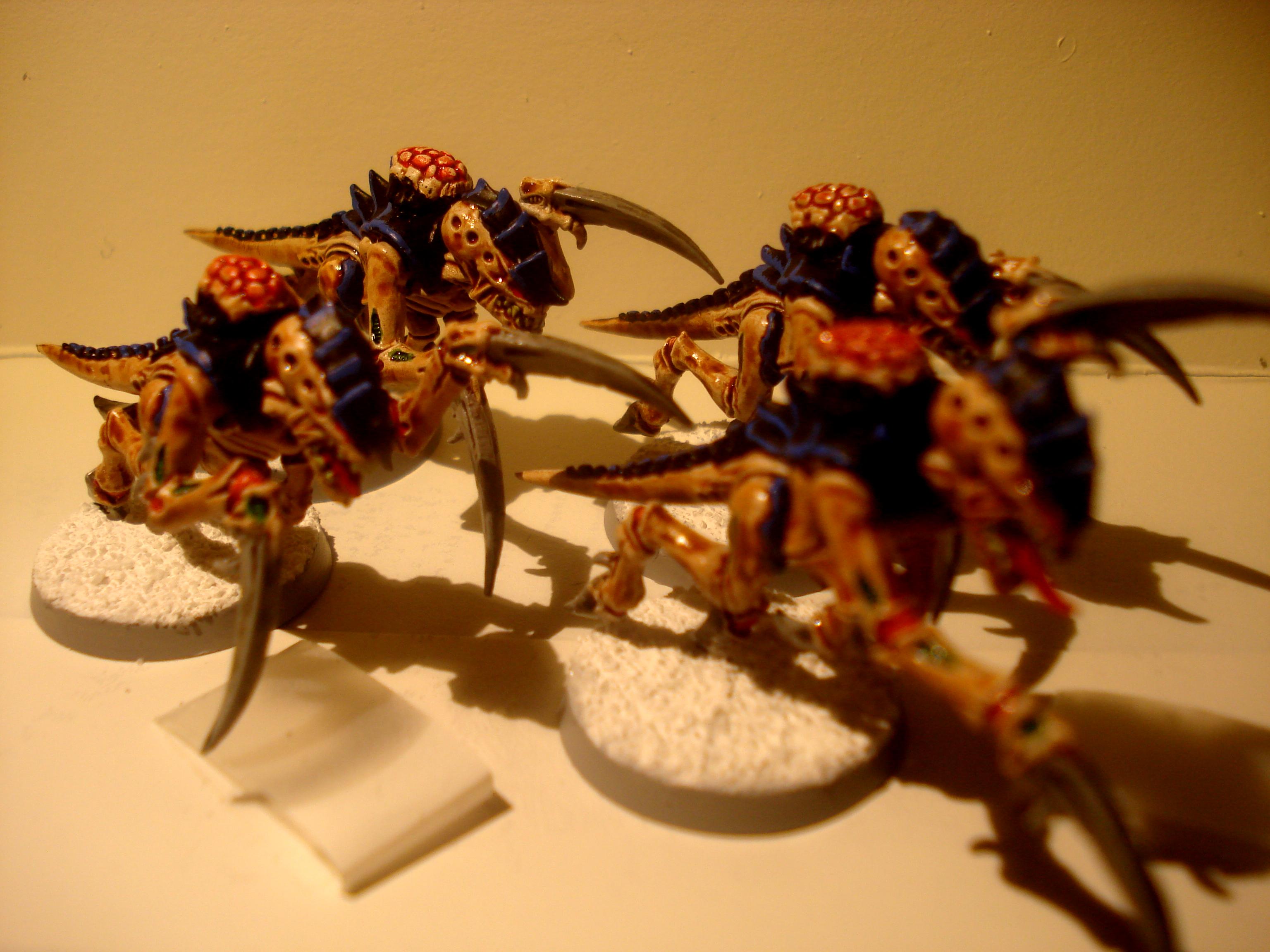 Tyranid Hormagaunts, Tyranids