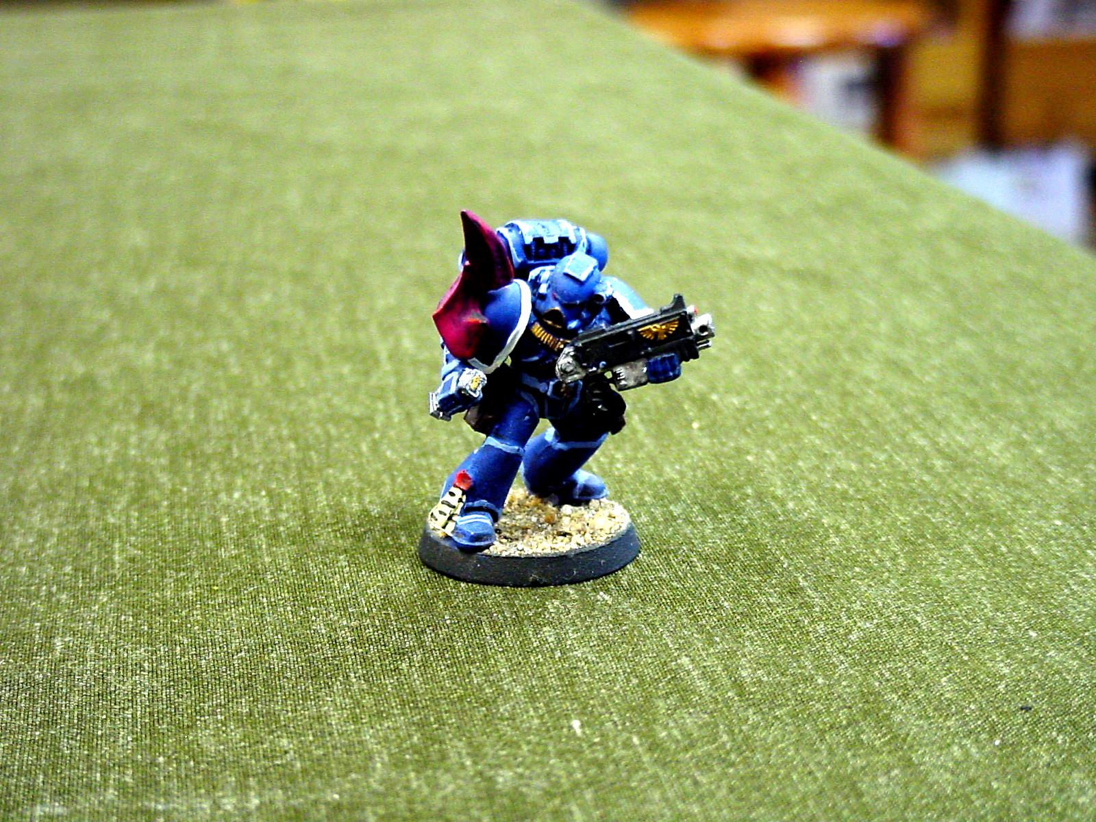 Conversion, Custom, Hard Edge Highlighting, Space Marines, Tyranic War Vet, Ultramarines, Warhammer 40,000