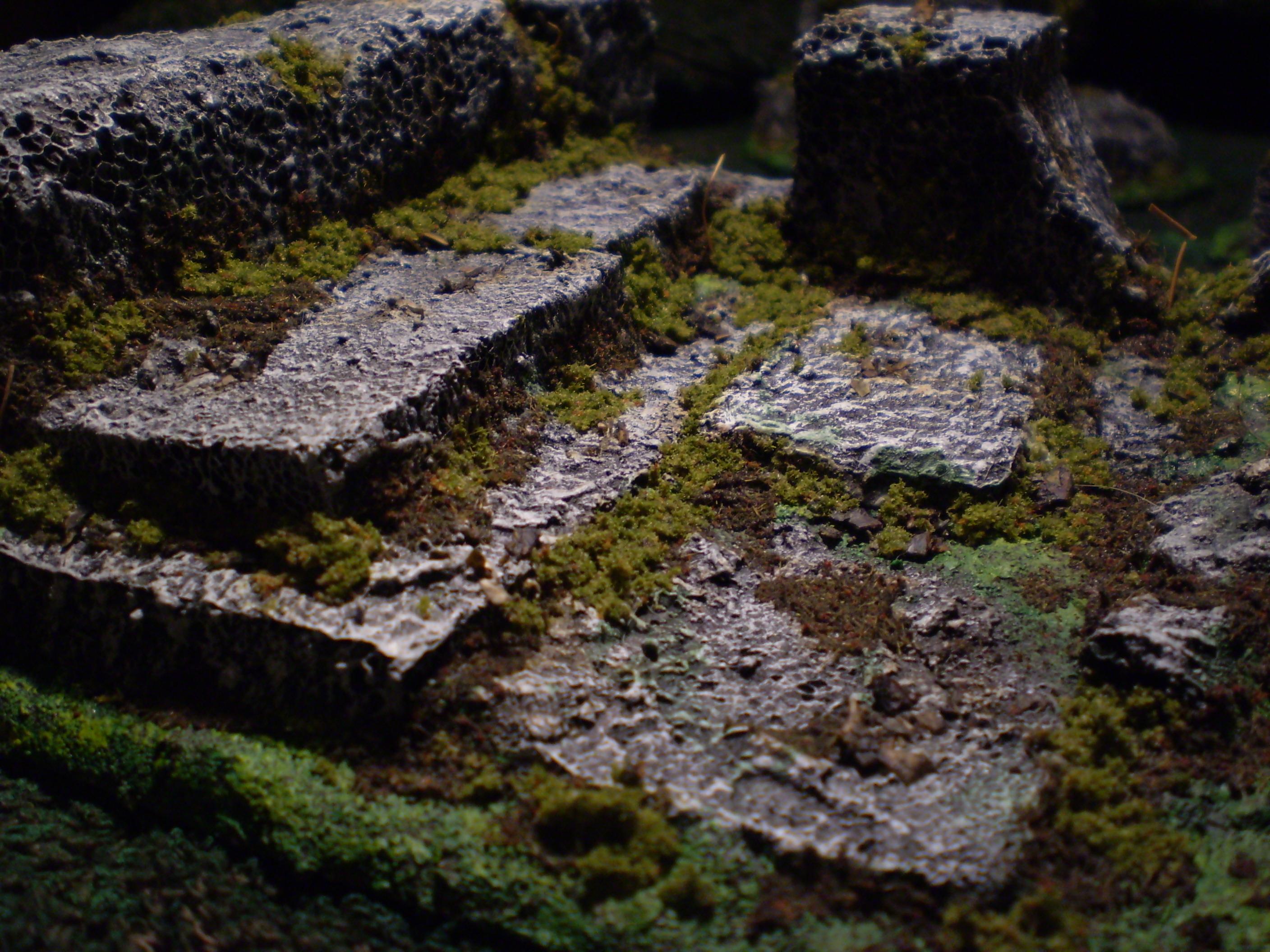 Terrain, terrain