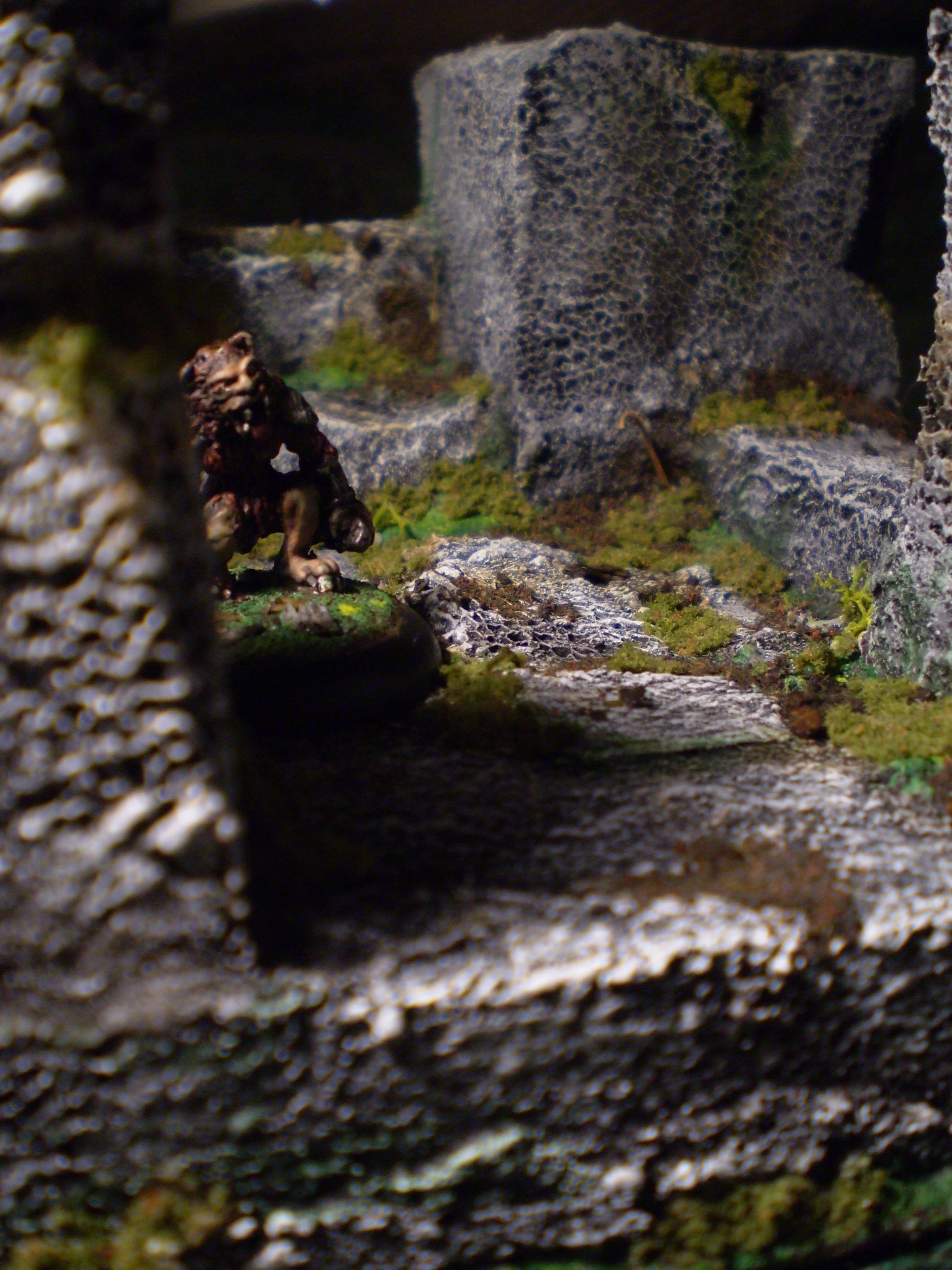 Terrain, terrain