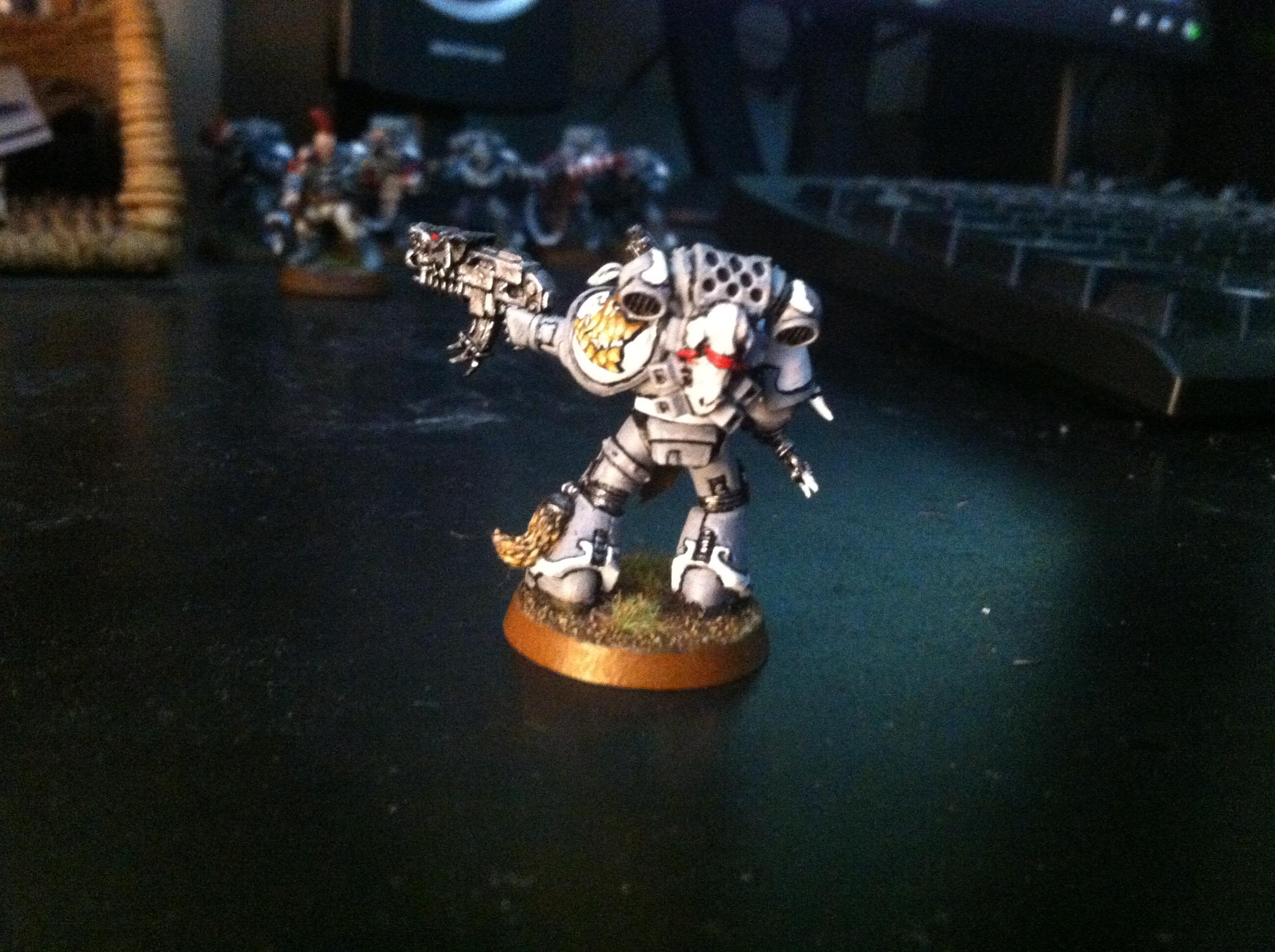 Grey hunter back