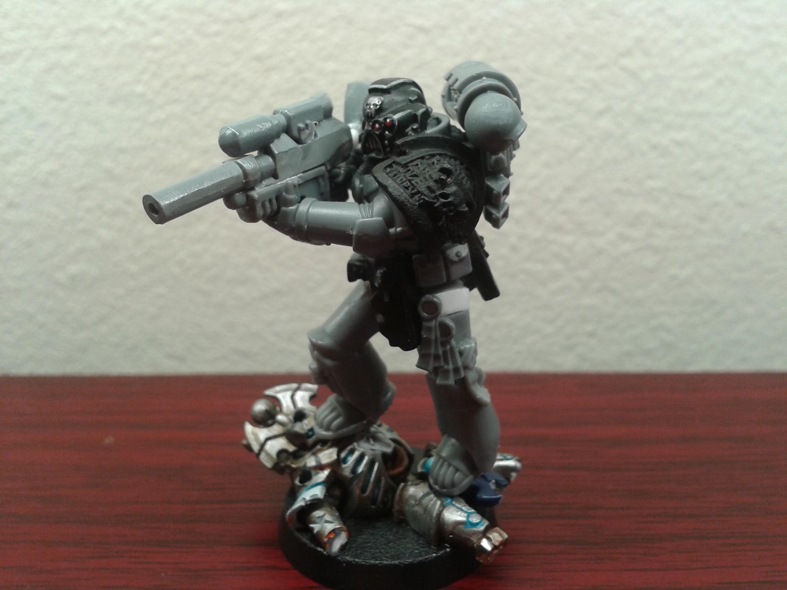 sternguard wip7