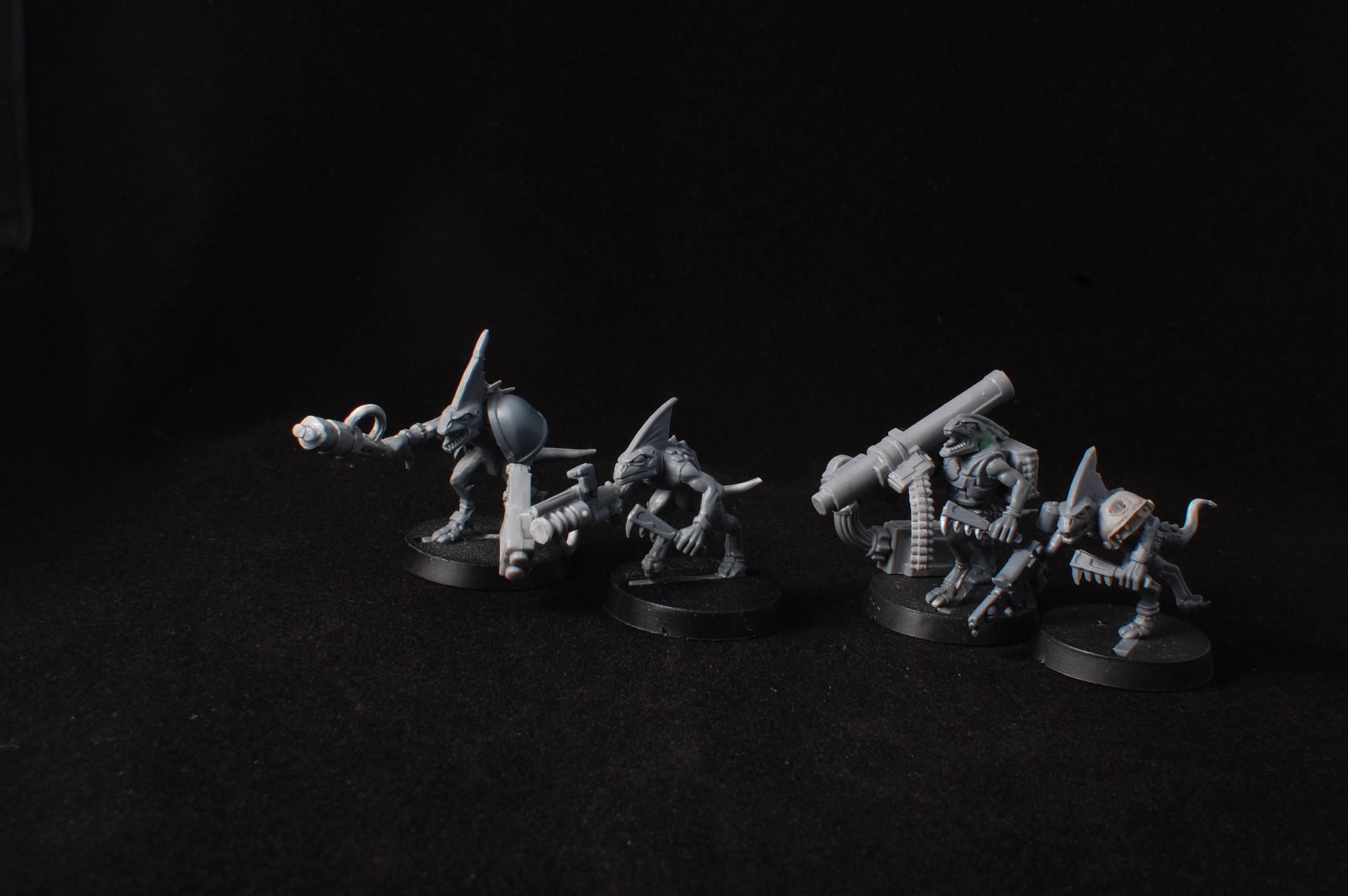 Conversion, Counts As, Kroot, Lizardmen
