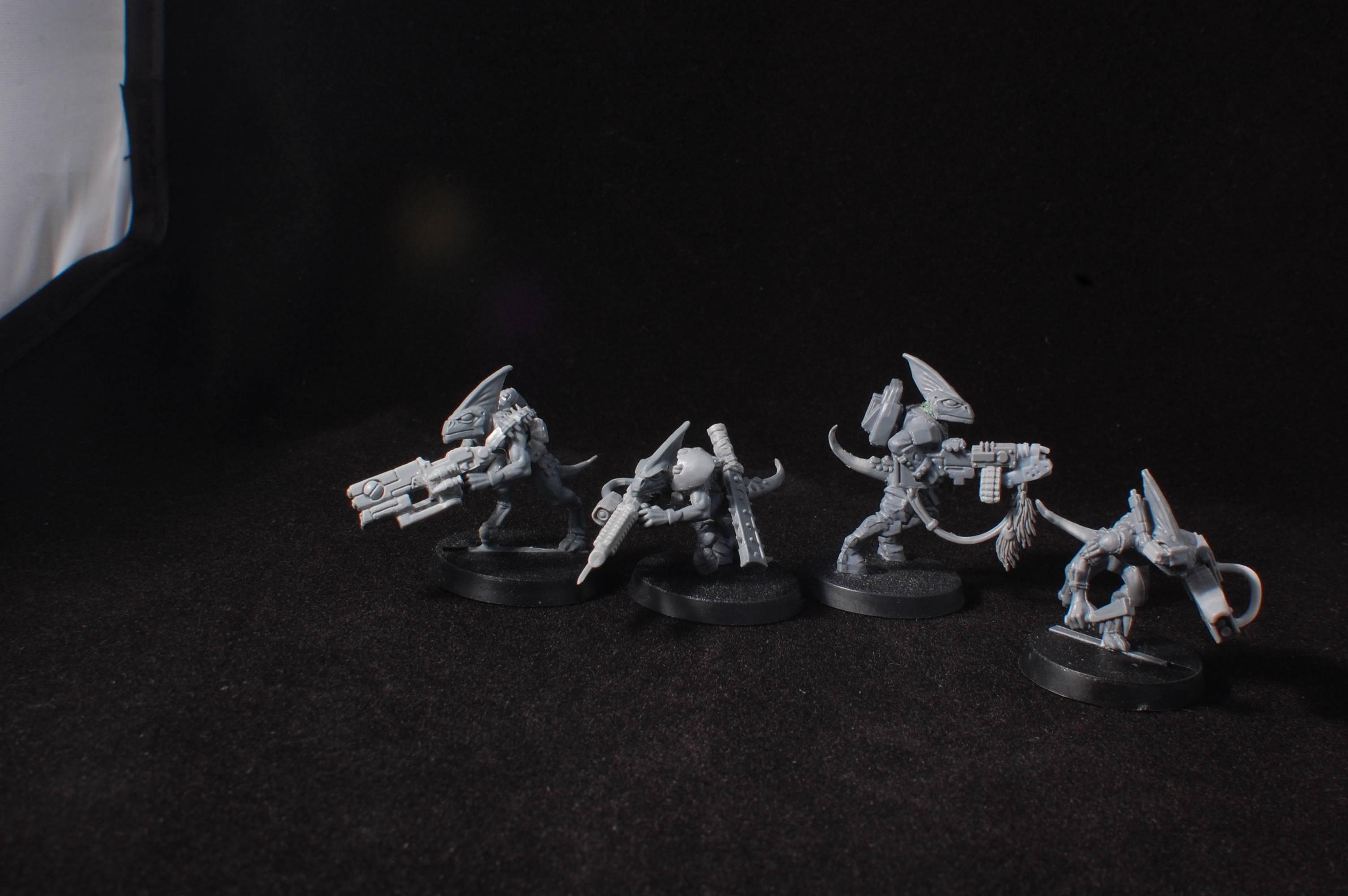 Conversion, Counts As, Kroot, Lizardmen