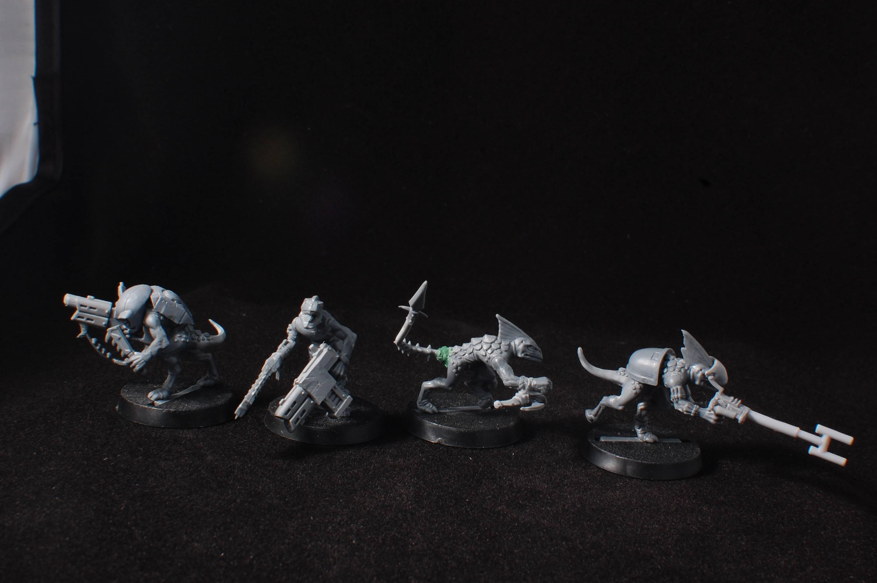 Conversion, Counts As, Kroot, Lizardmen
