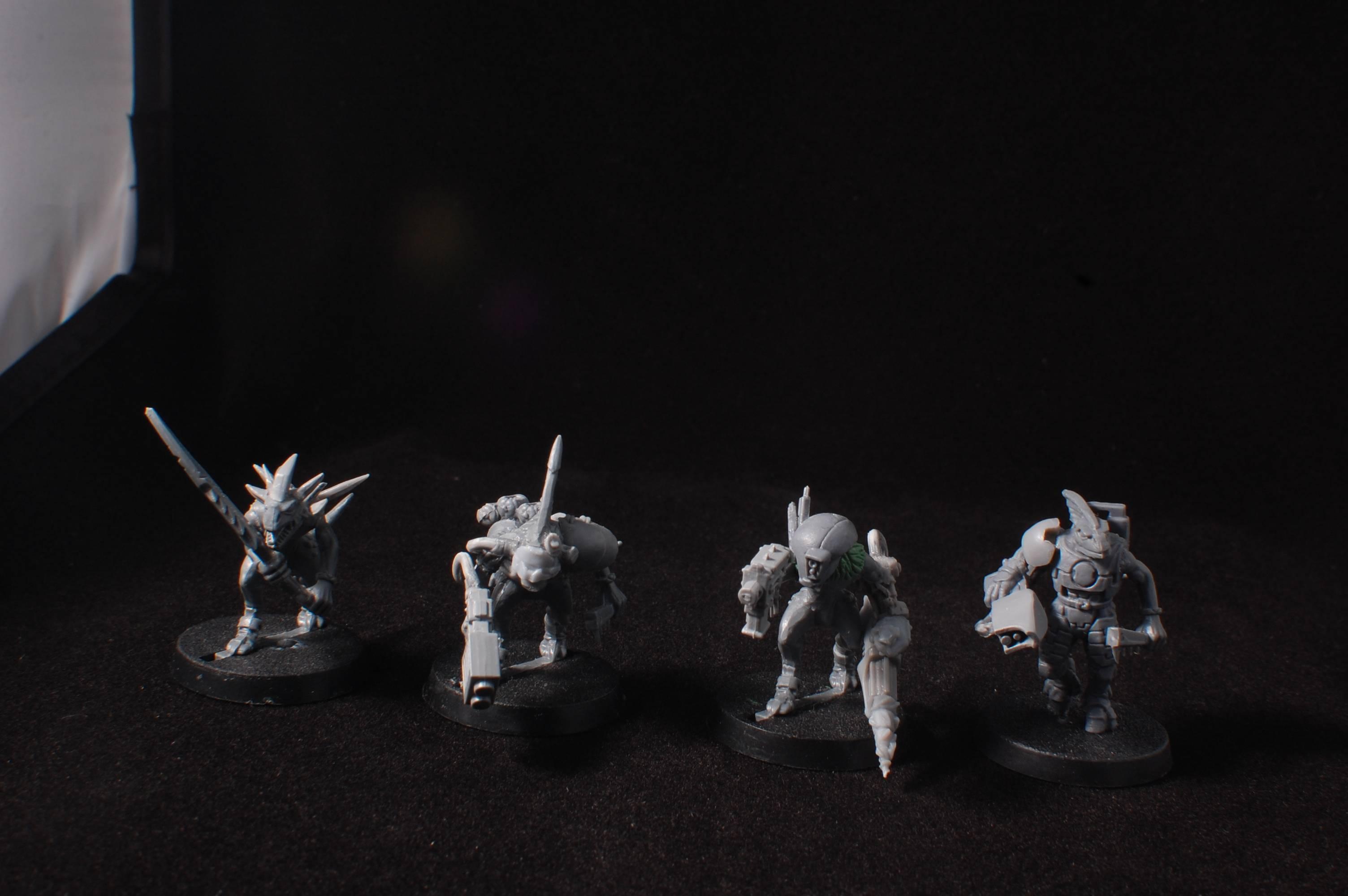 Conversion, Counts As, Kroot, Lizardmen