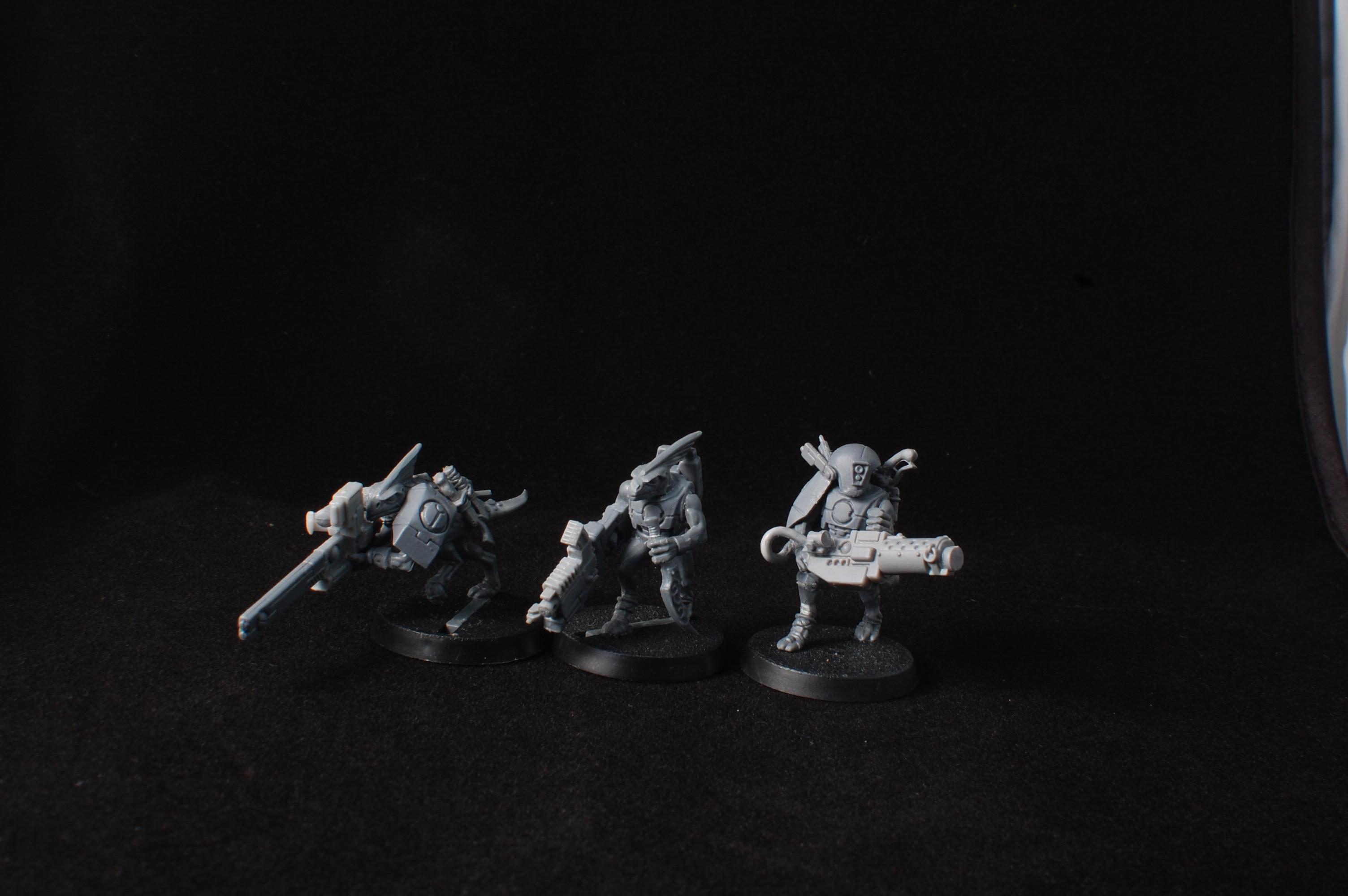 Conversion, Counts As, Kroot, Lizardmen