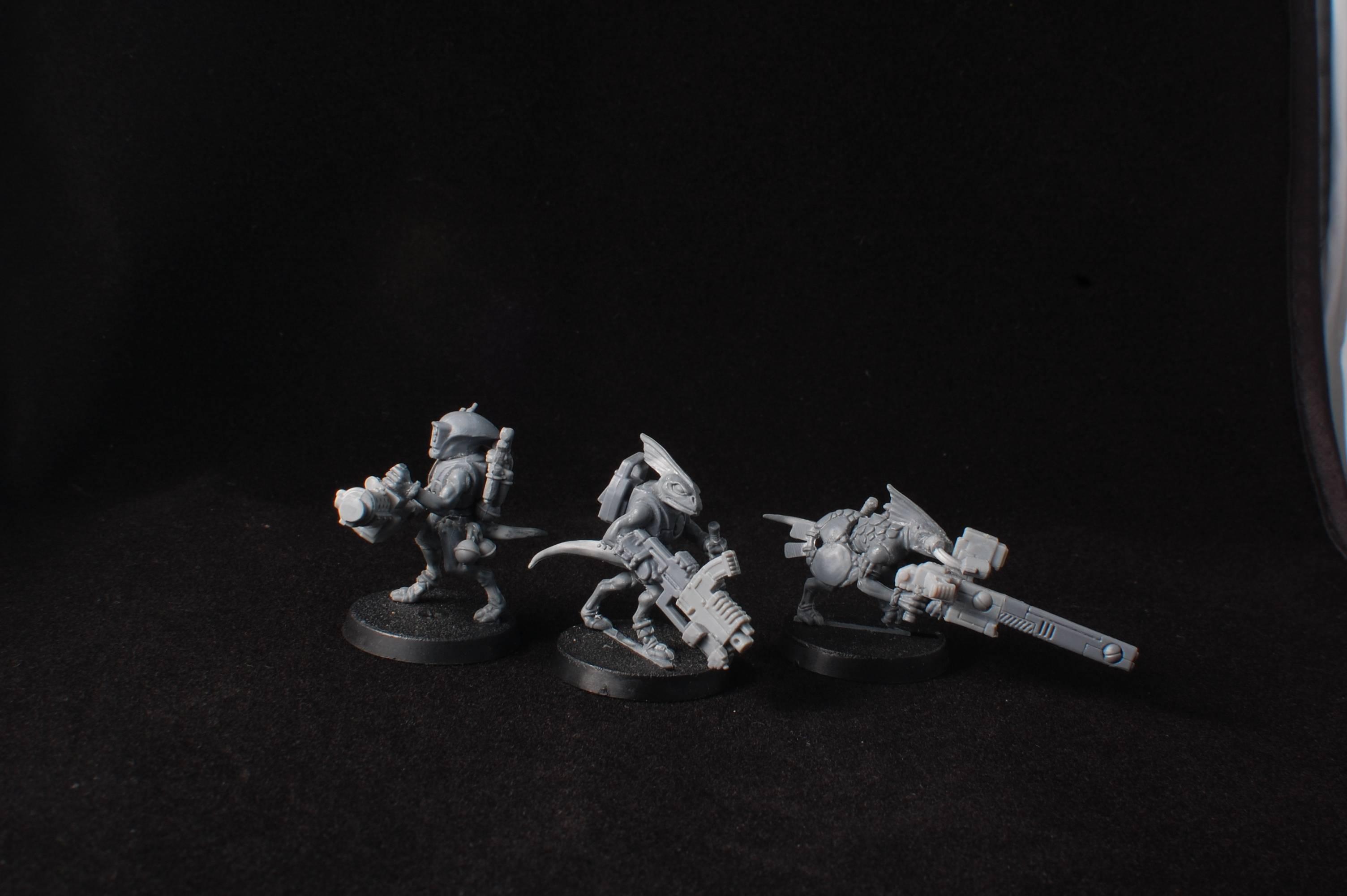 Conversion, Counts As, Kroot, Lizardmen