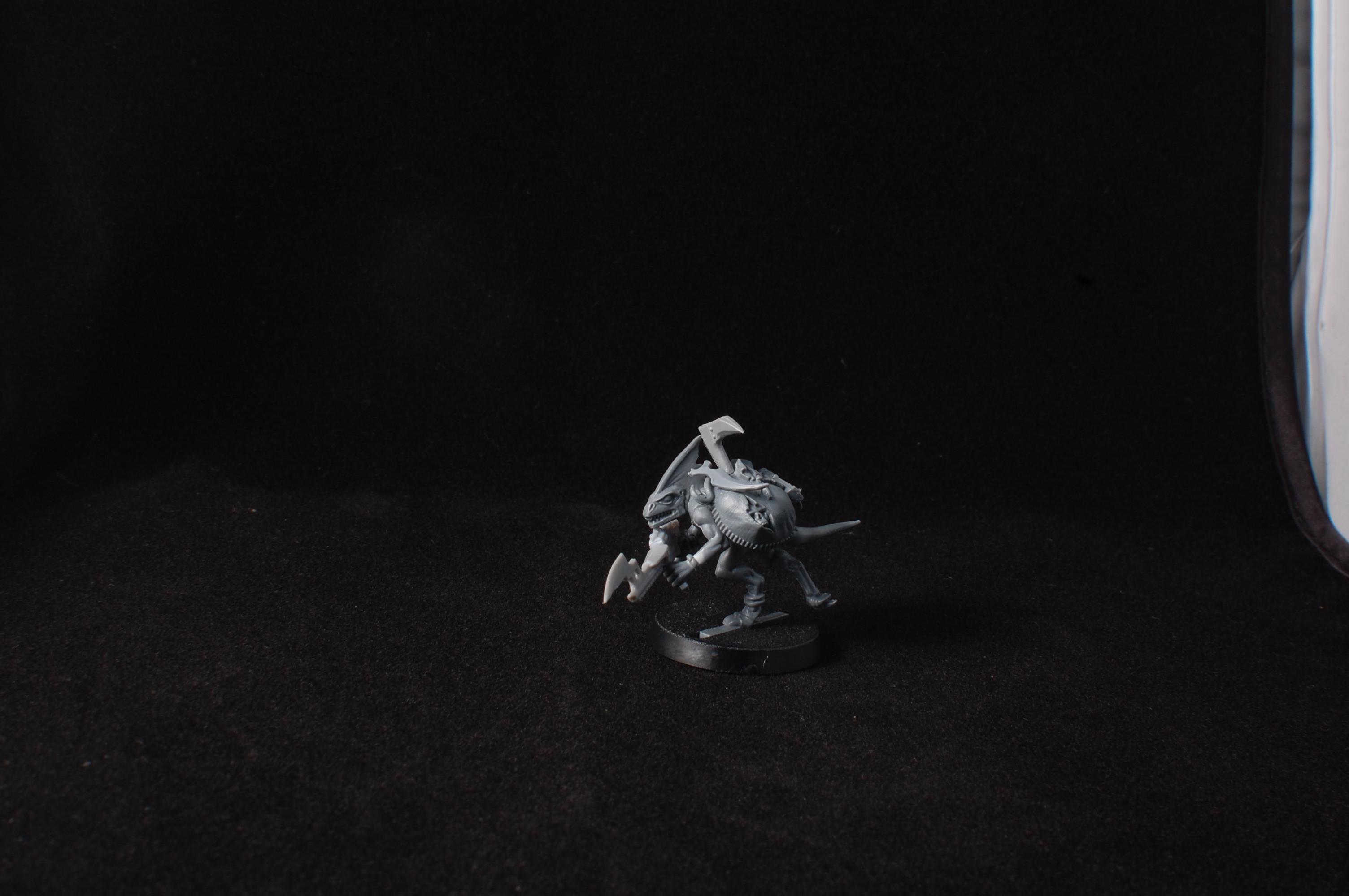Conversion, Counts As, Kroot, Lizardmen