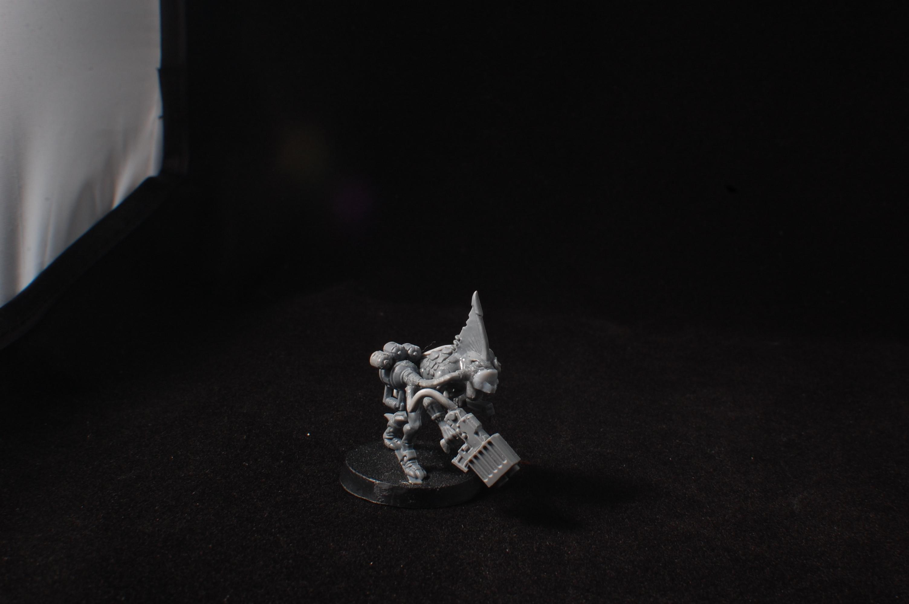 Conversion, Counts As, Kroot, Lizardmen