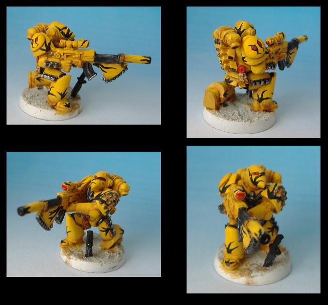 Mantis Warrior, Space Marines, Tranquility Veteran