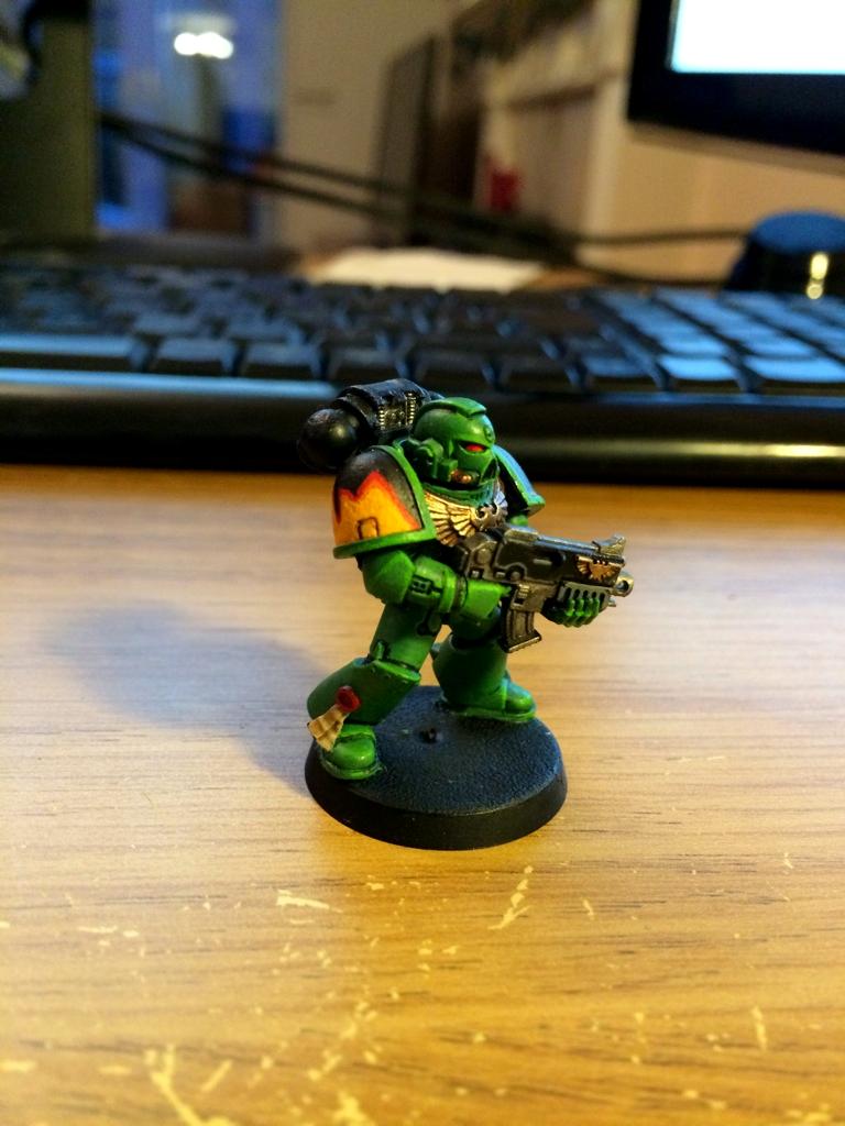 First Salamander 2