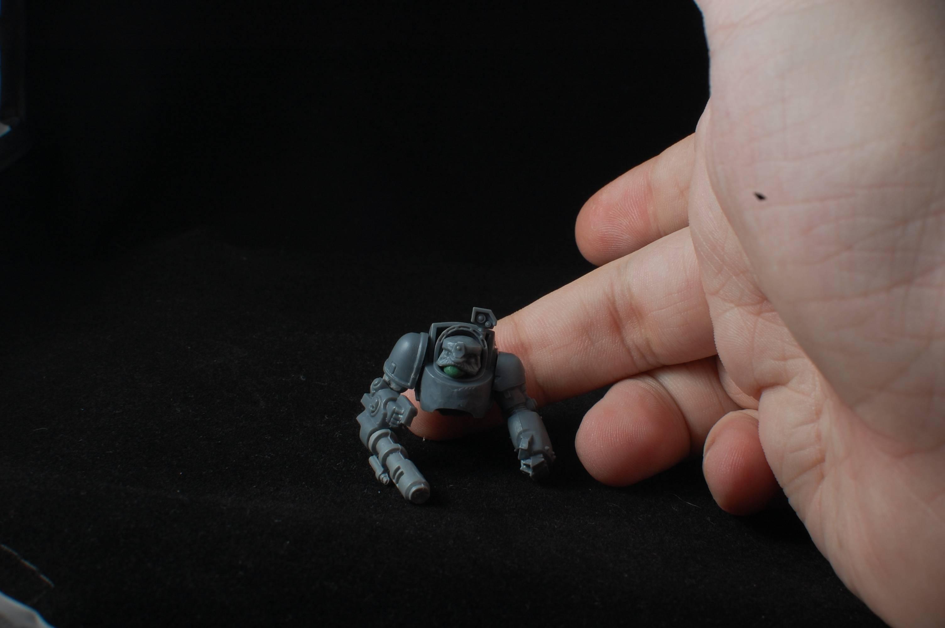 Conversion, Space Dwarfs, Squats