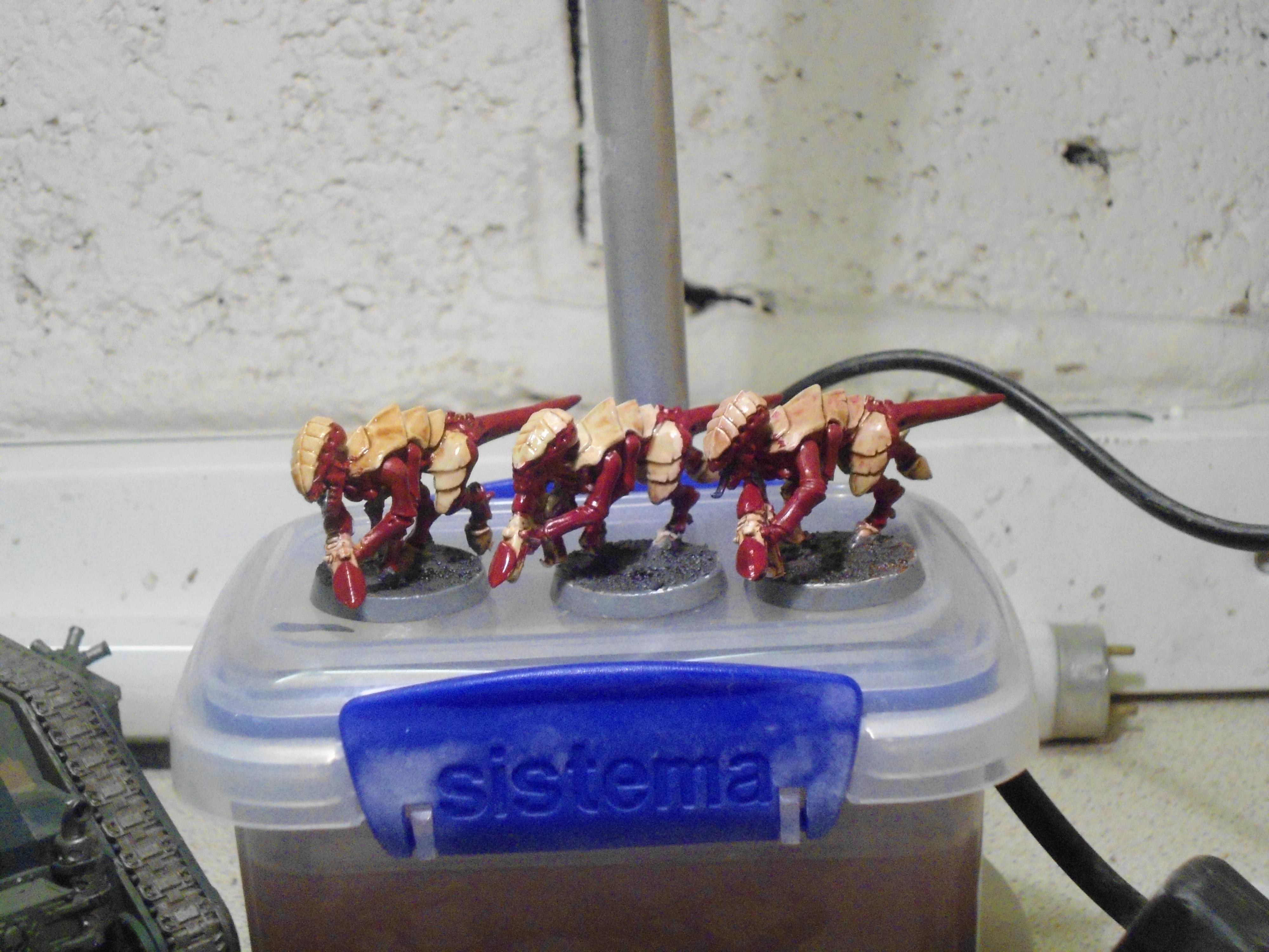 Tyranids, Gaunts