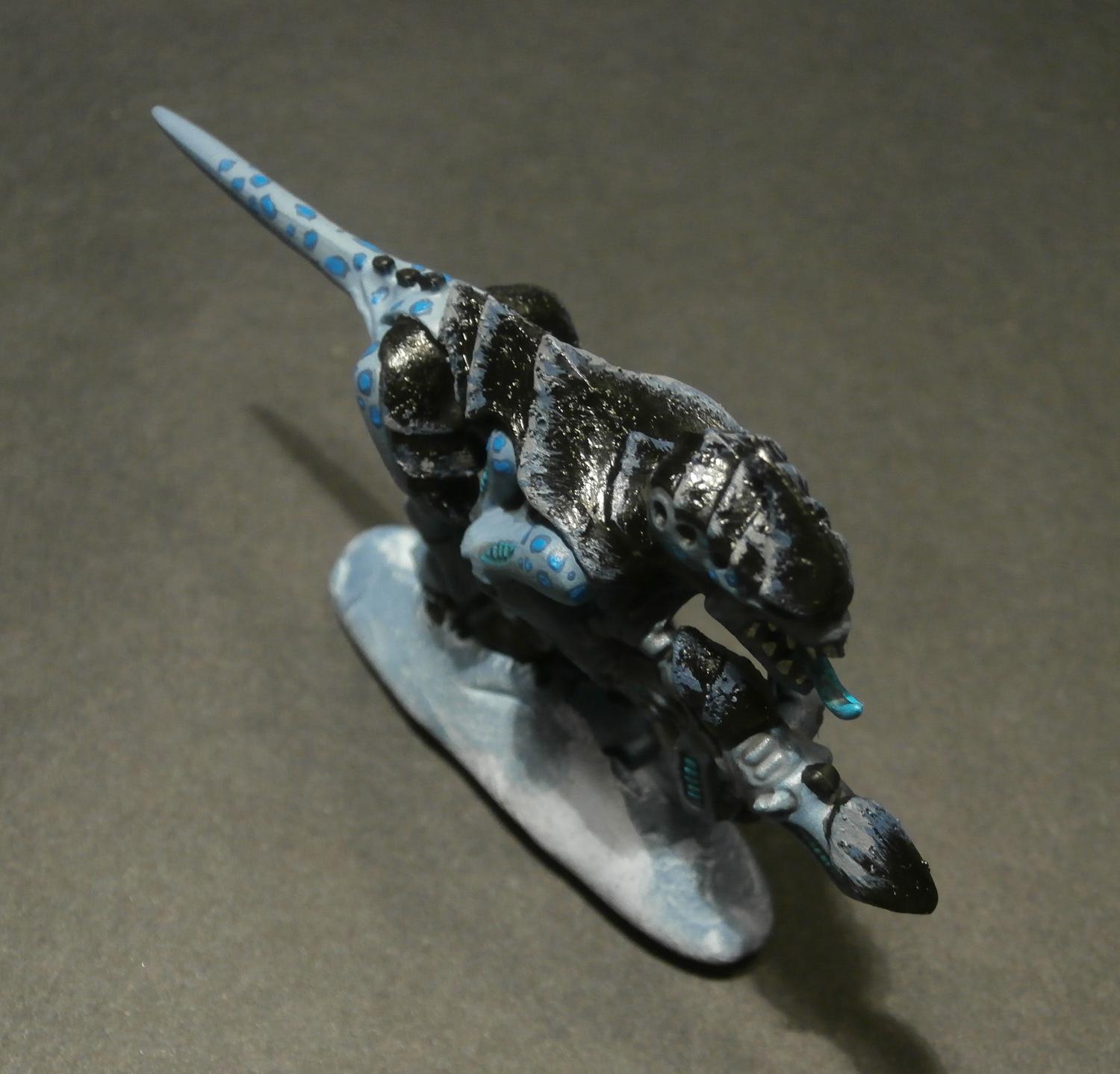 The carapace looks a bit better here, but still undecisive