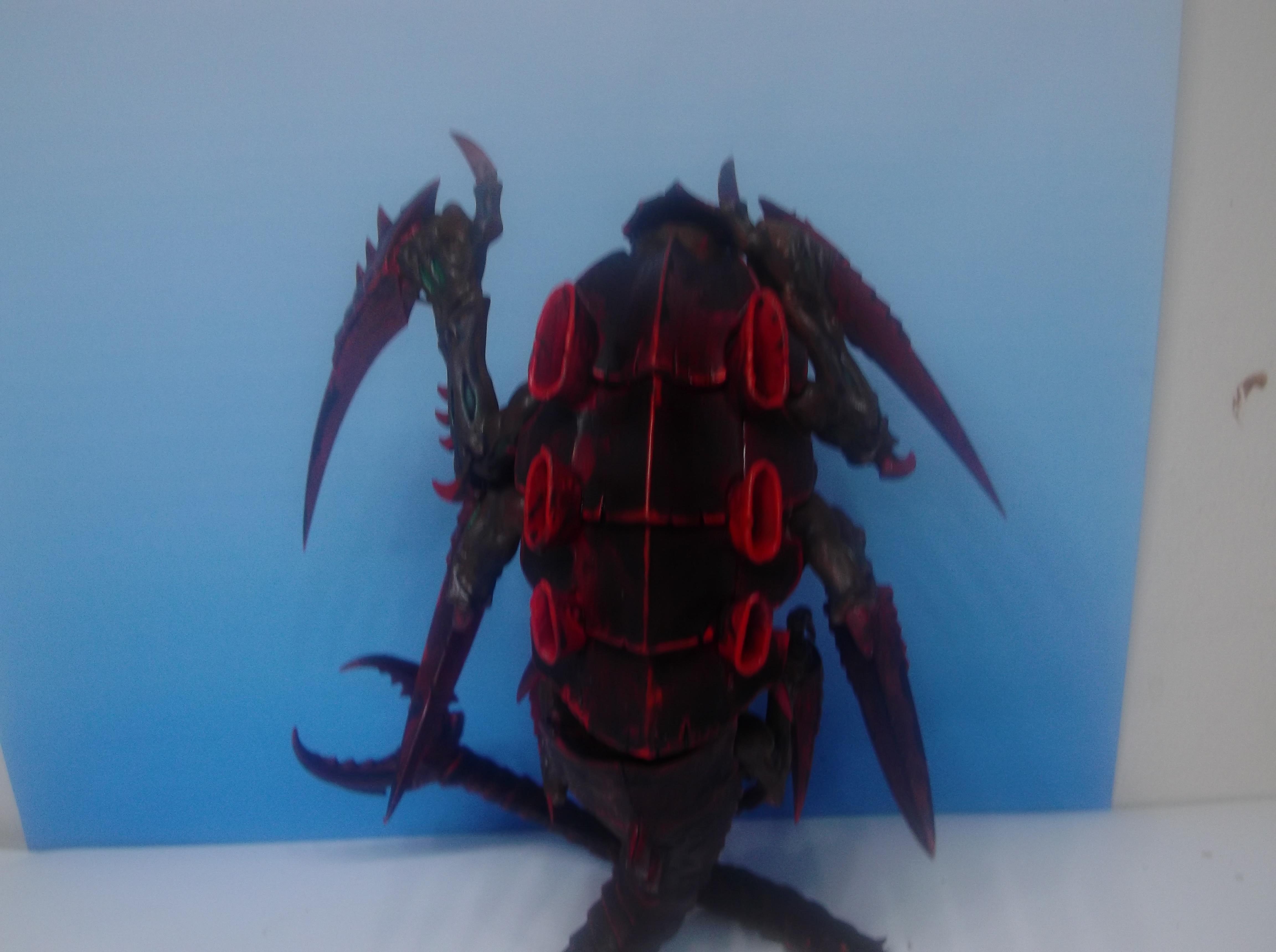 back