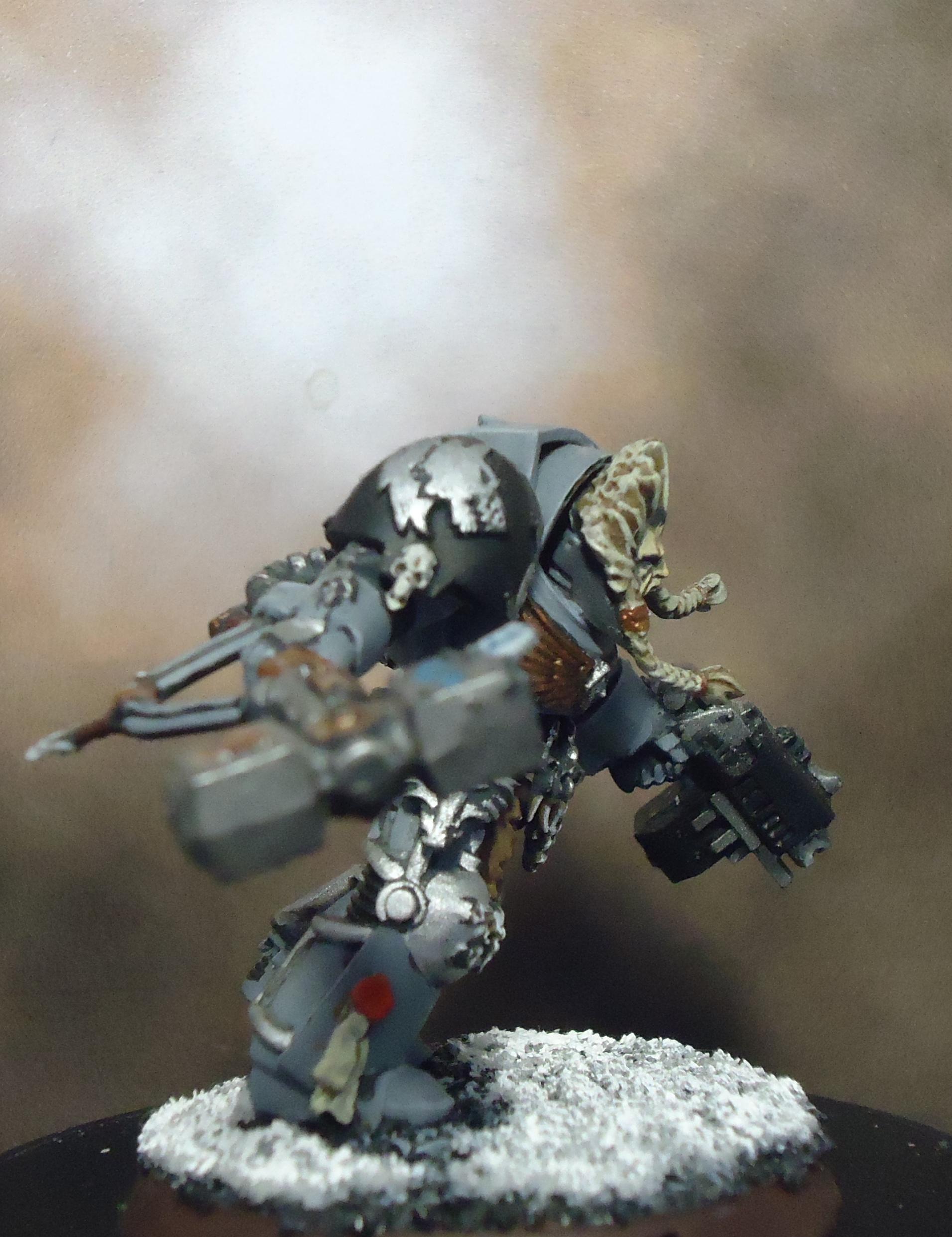 Space Marines, Space Wolves, Terminator Armor, Thunder Hamme, Wolf Guard