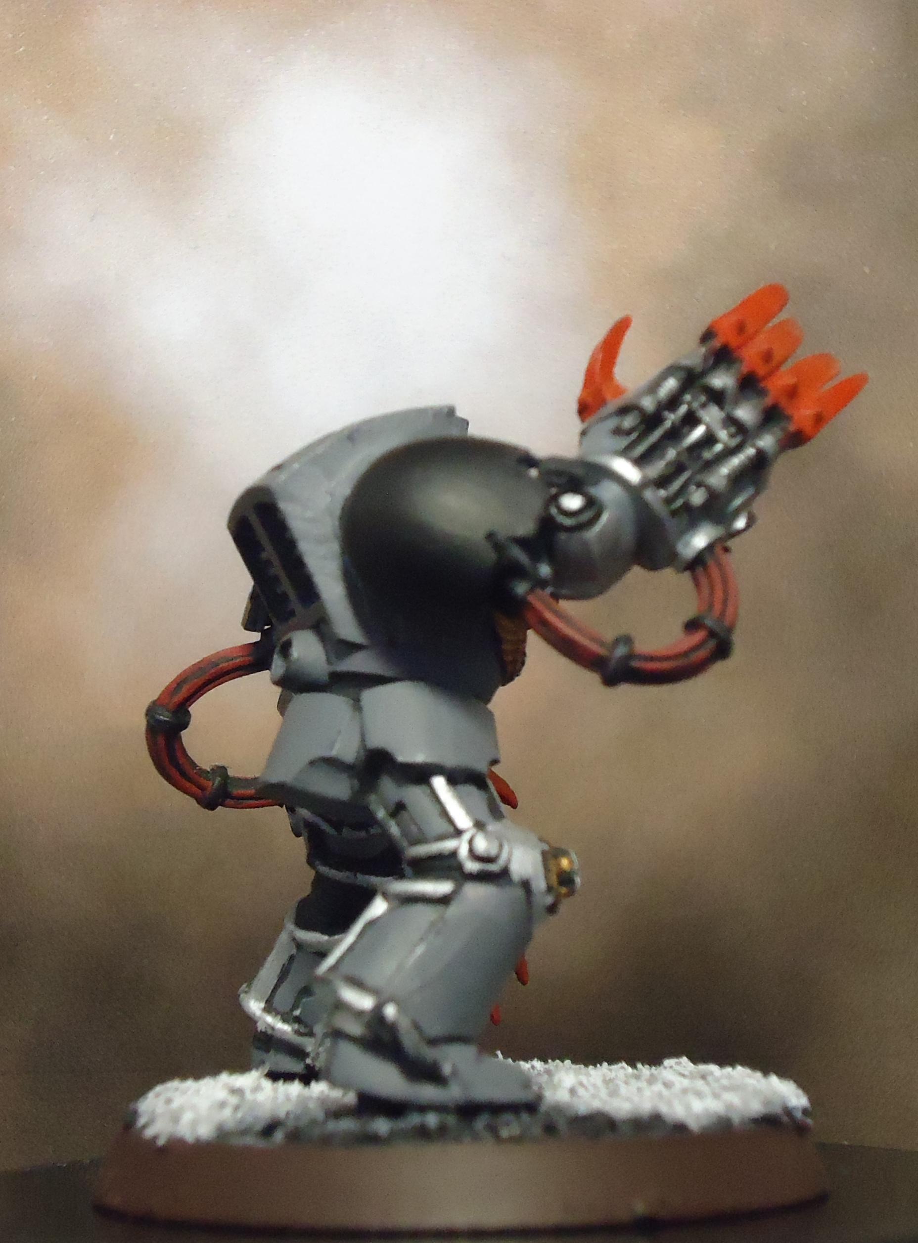 Space Marines, Space Wolves, Terminator Armor, Wolf Claws, Wolf Guard