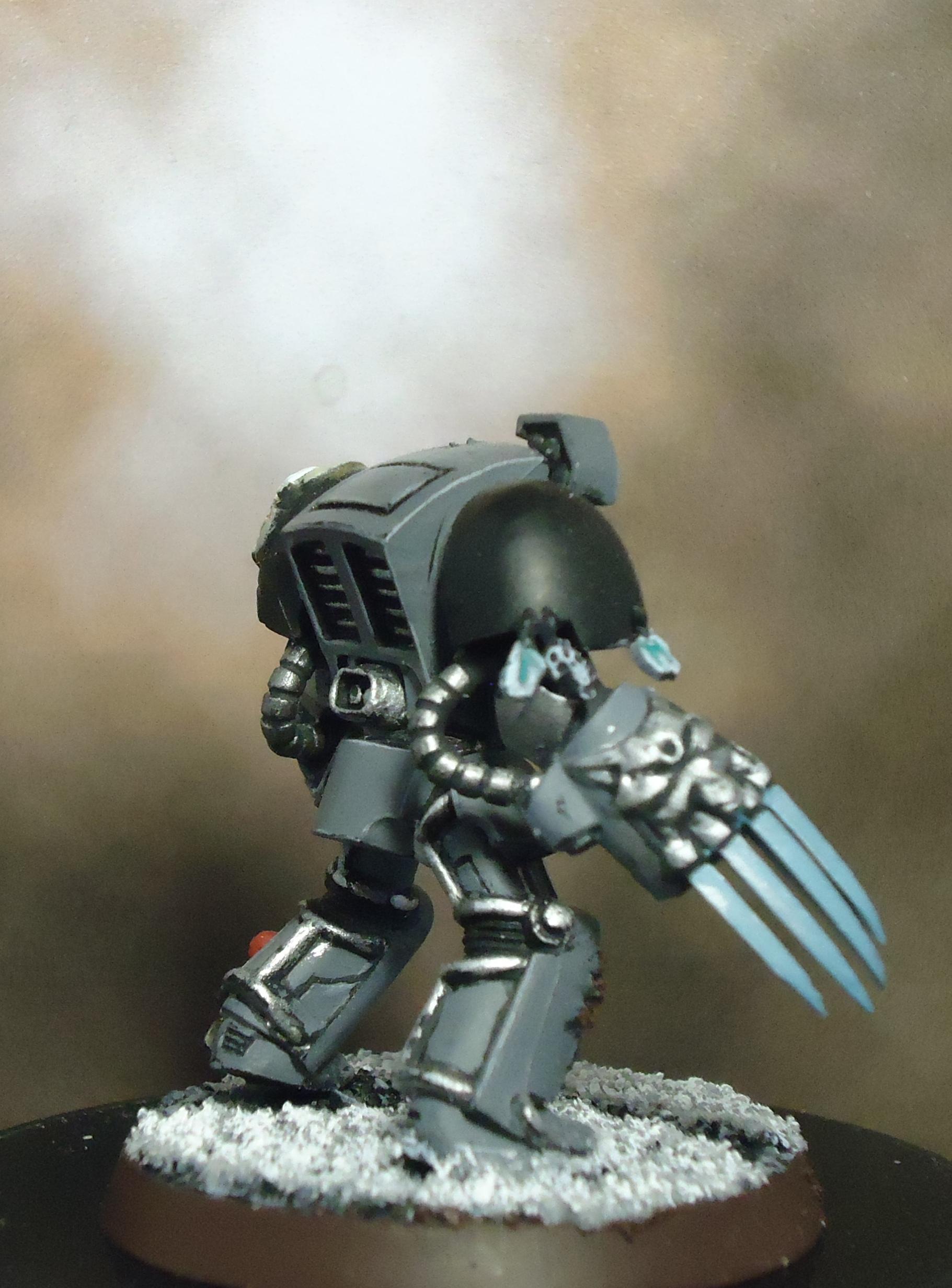 Space Marines, Space Wolves, Terminator Armor, Wolf Claws, Wolf Guard