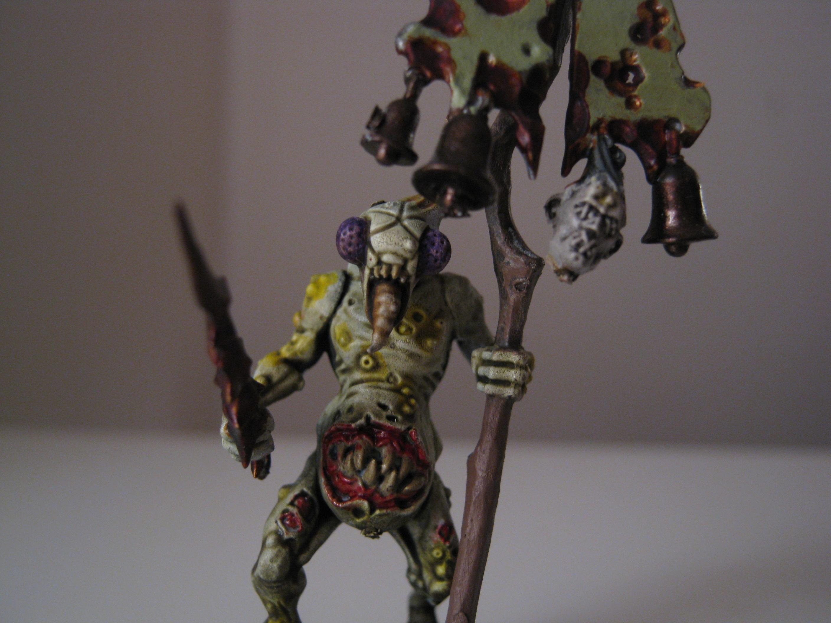 Fly-eyed standard bearer