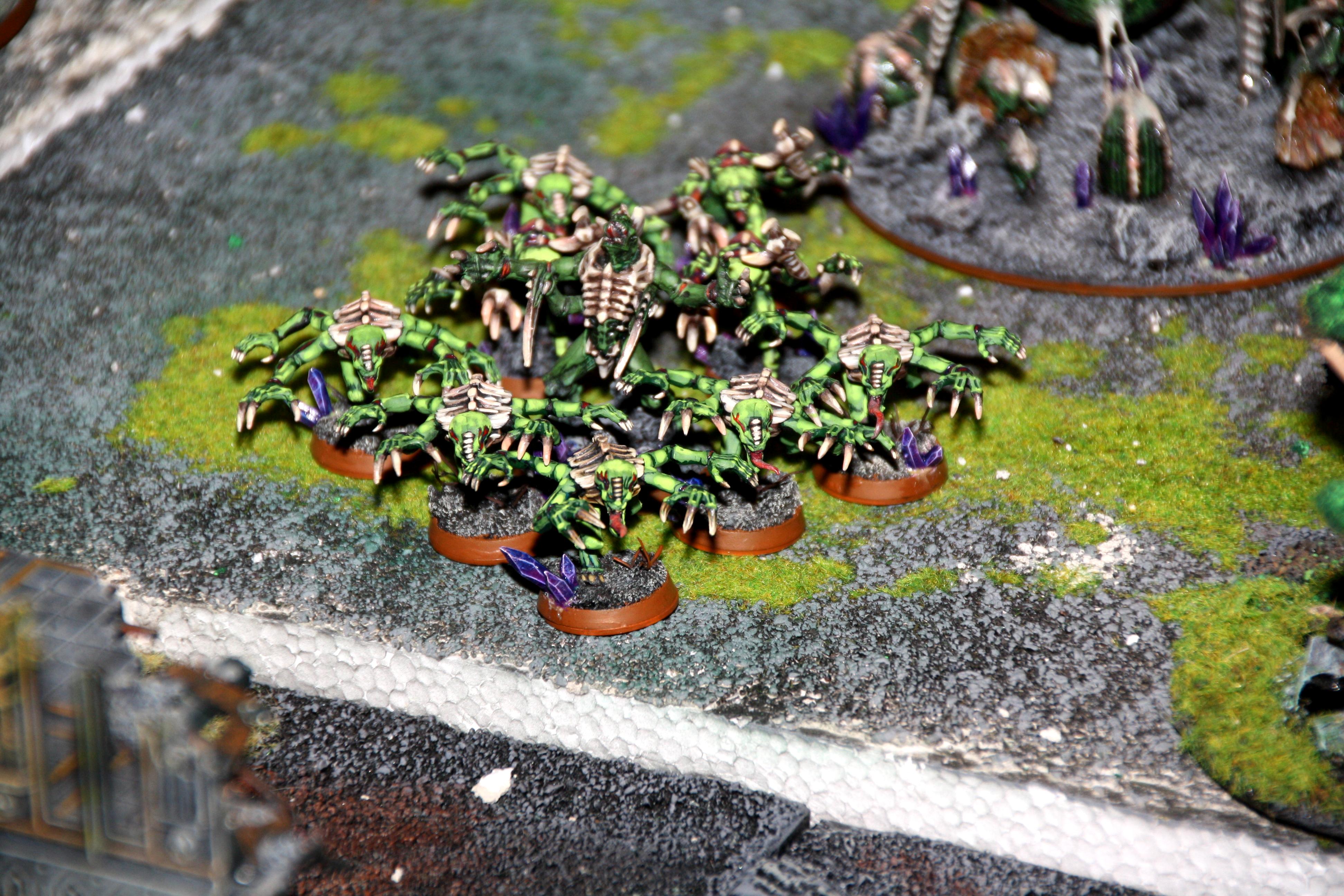 Orcs, Orcs Tyranids, Tyranids