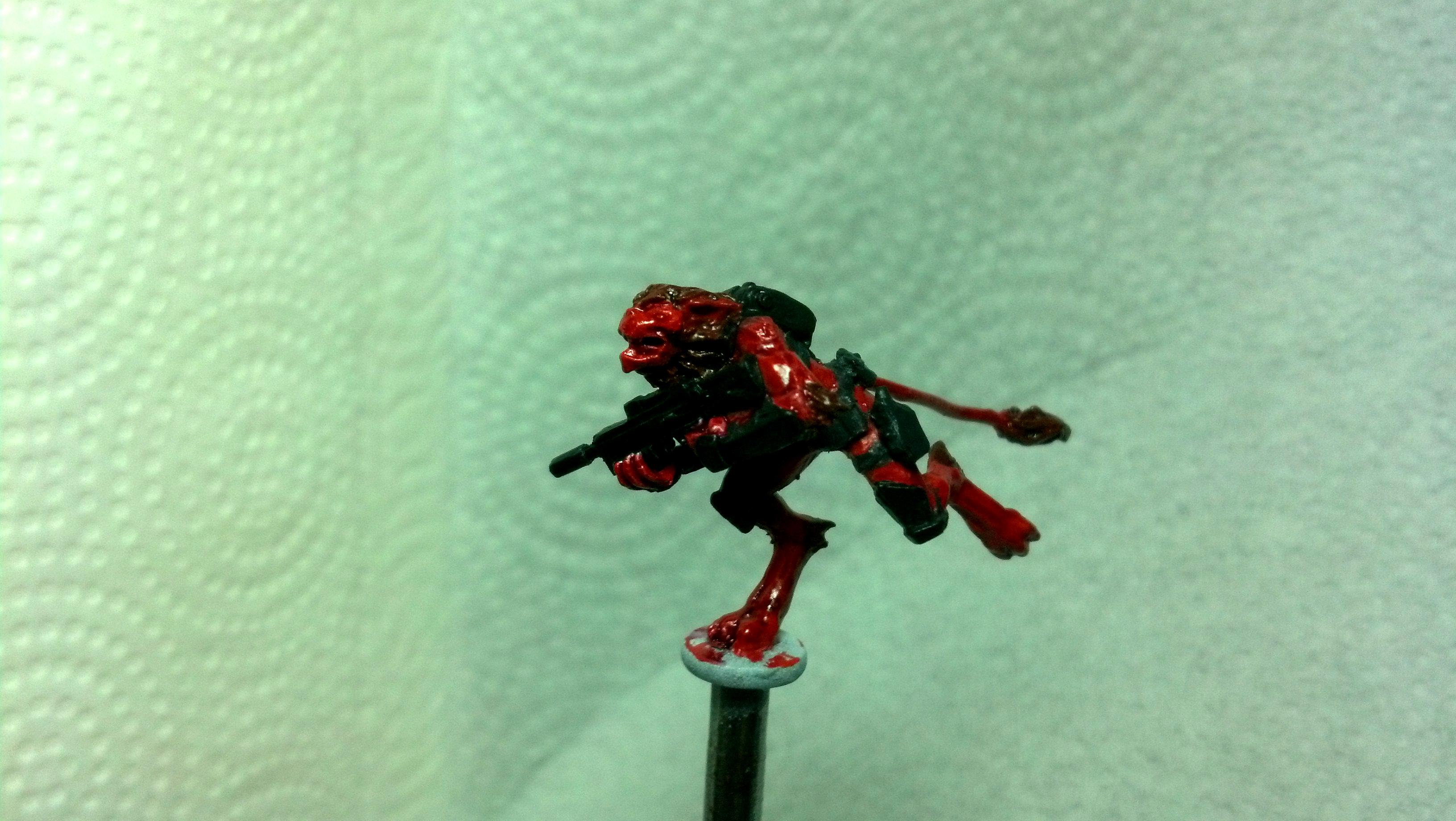yndij wip