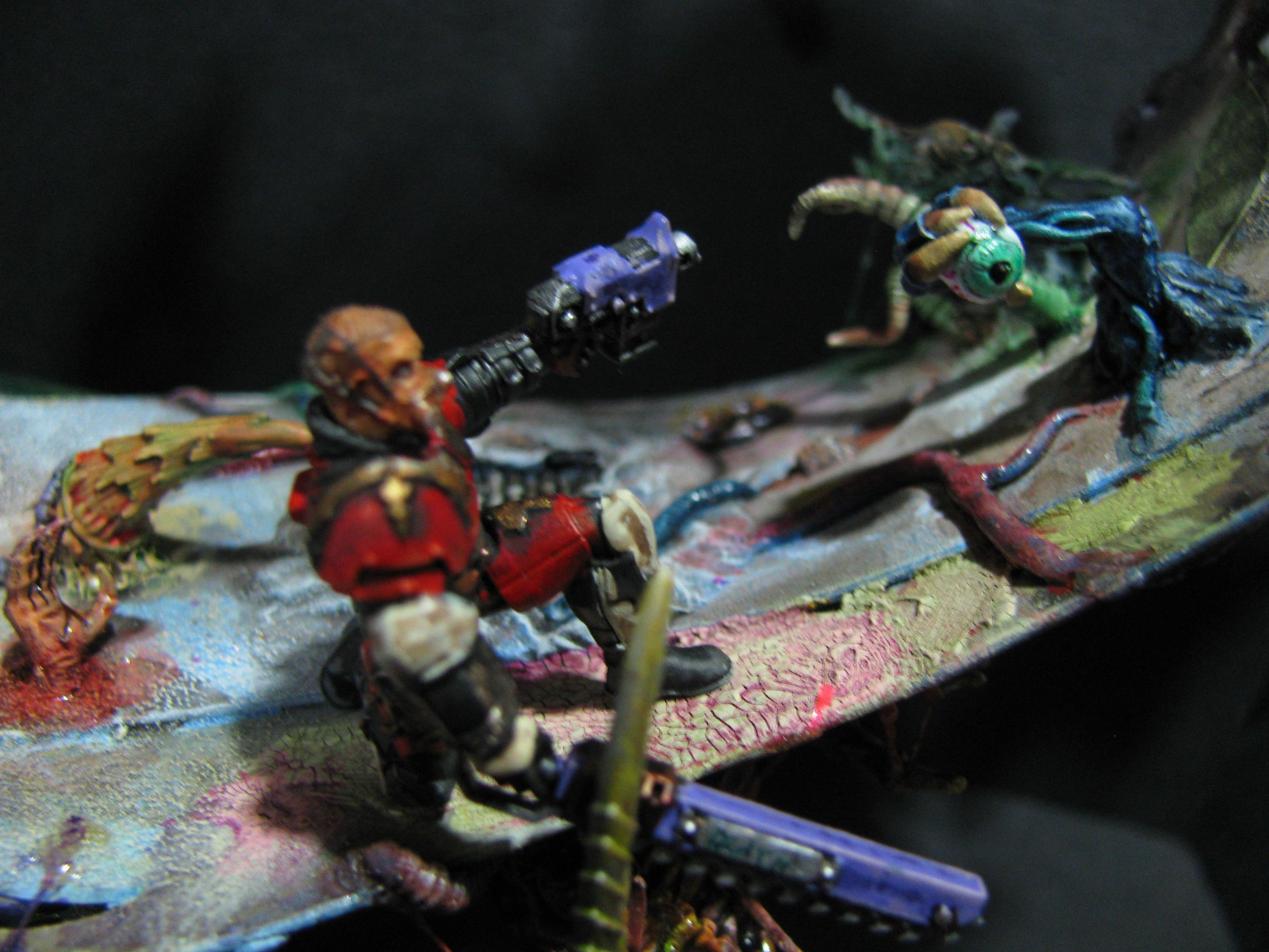 Chaos, Competition, Conversion, Scratch, Terrain