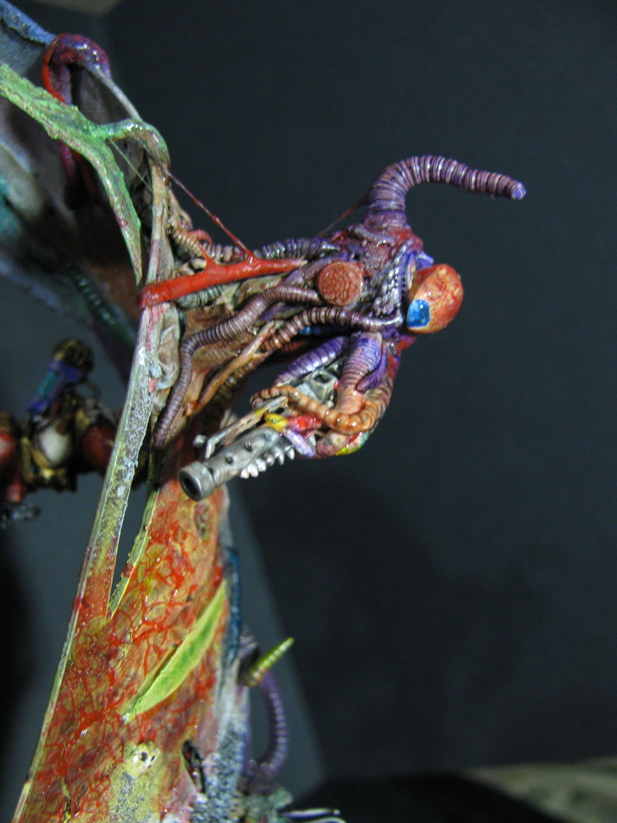 Chaos, Competition, Conversion, Scratch, Terrain