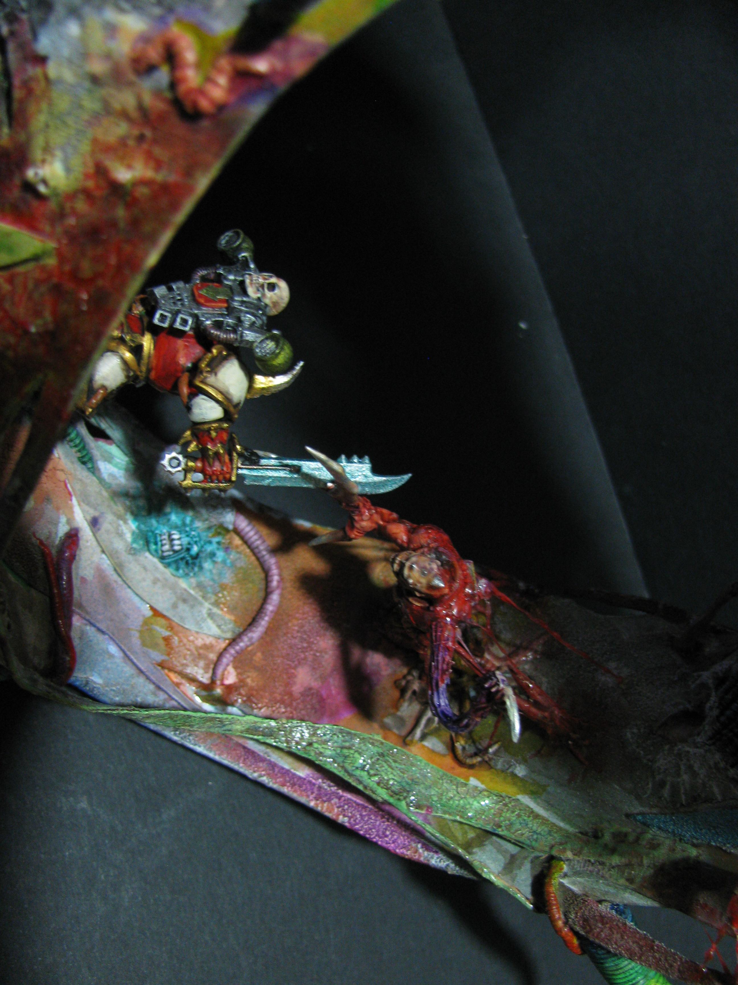 Chaos, Competition, Conversion, Scratch, Terrain