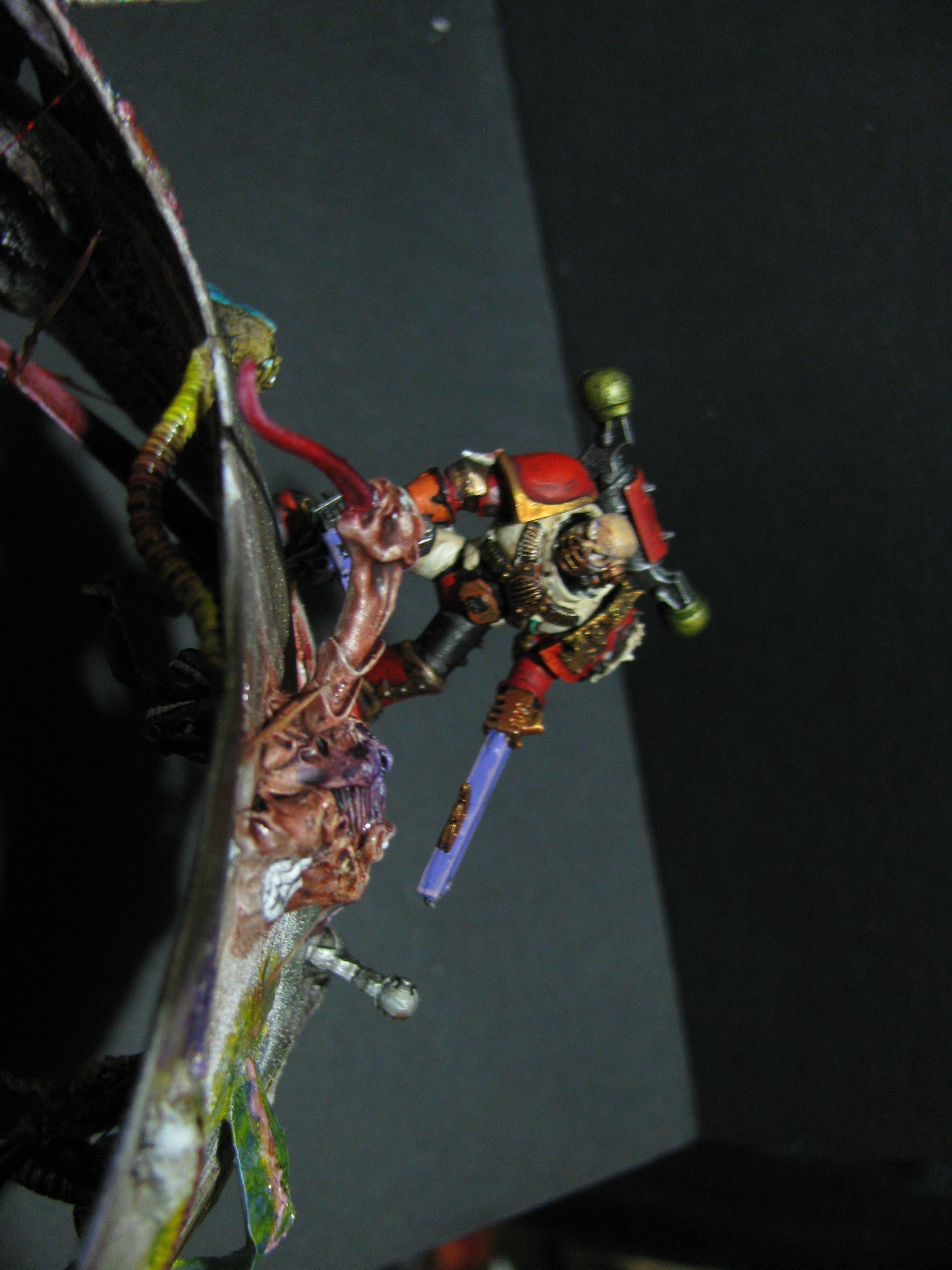 Chaos, Competition, Conversion, Scratch, Terrain
